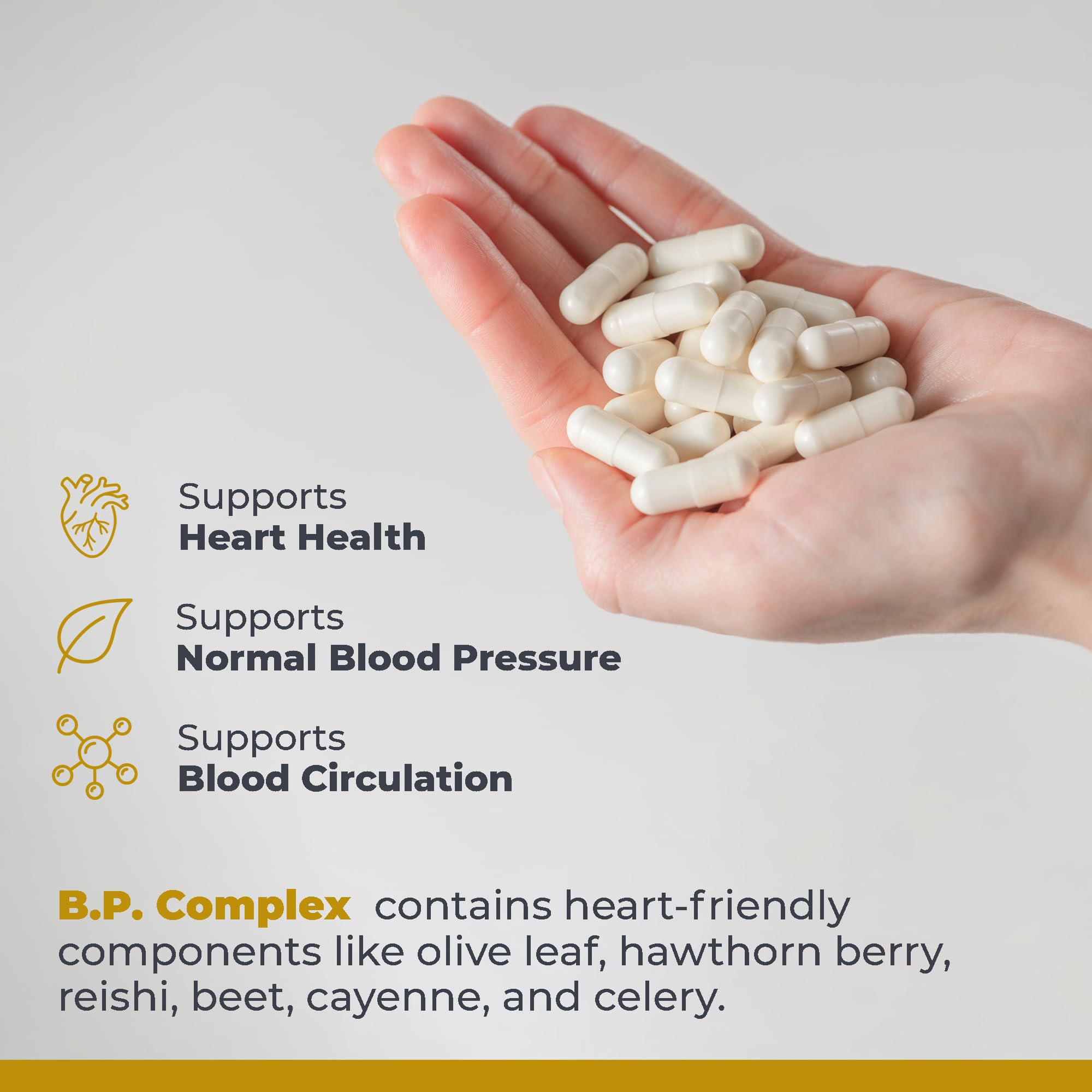 Premier Research Labs Premier BP Complex - Heart Health Supplements, BP Formula, Garlic Allicin Supplement, Natural Herbal BP Support Pills with Reishi & Cayenne Pepper - 60 Vegetarian Capsules Premier Research Labs buy supplements canada