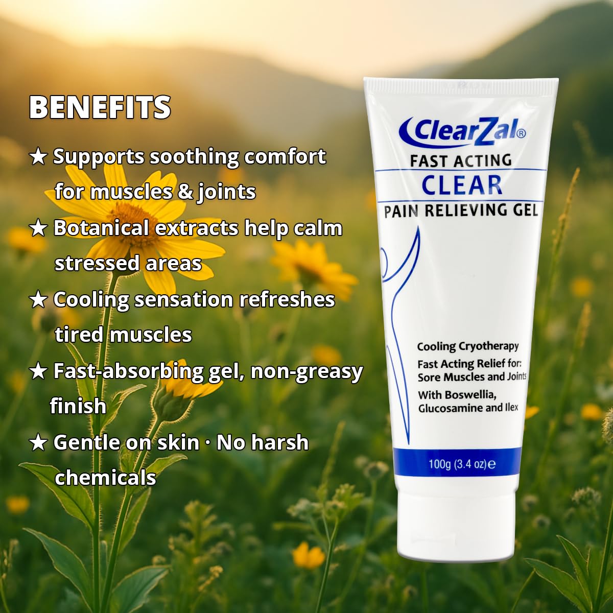 ClearZal Fast Acting Clear Pain Relieving Gel with Cooling Cryotherapy, Boswellia and Glucosamine for Sore Muscles and Joints, Soothing Cooling Gel 3.4 oz Clearzal buy supplements canada