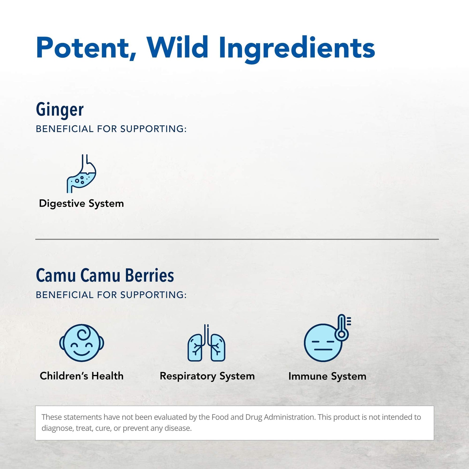 NORTH AMERICAN HERB & SPICE Inflam-eeZ - 90 Capsules - Supports Healthy Immune & Inflammatory Response - Ginger Root, Camu Camu Berries, Bromelain & Papain Plus - Non-GMO - 45 Total Servings NORTH AMERICAN HERB & SPICE buy supplements canada