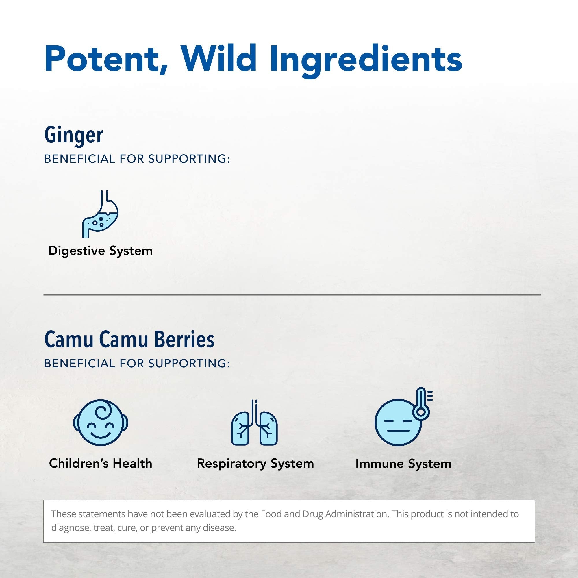 NORTH AMERICAN HERB & SPICE Inflam-eeZ - 90 Capsules - Supports Healthy Immune & Inflammatory Response - Ginger Root, Camu Camu Berries, Bromelain & Papain Plus - Non-GMO - 45 Total Servings NORTH AMERICAN HERB & SPICE buy supplements canada