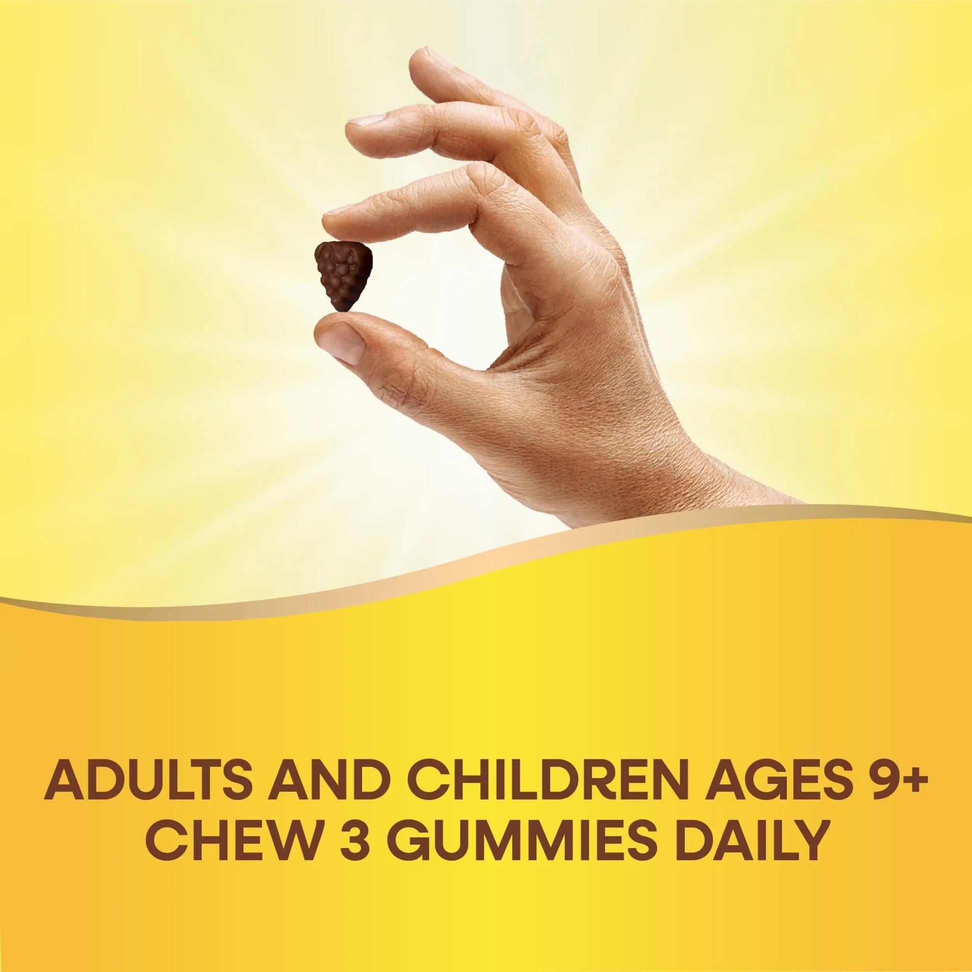 Nature's Way Alive! Adult Premium Multivitamin Gummy, Full B-Vitamin Complex, Supports Energy Metabolism & Heart Health*, 90 Gummies Nature's Way buy supplements canada