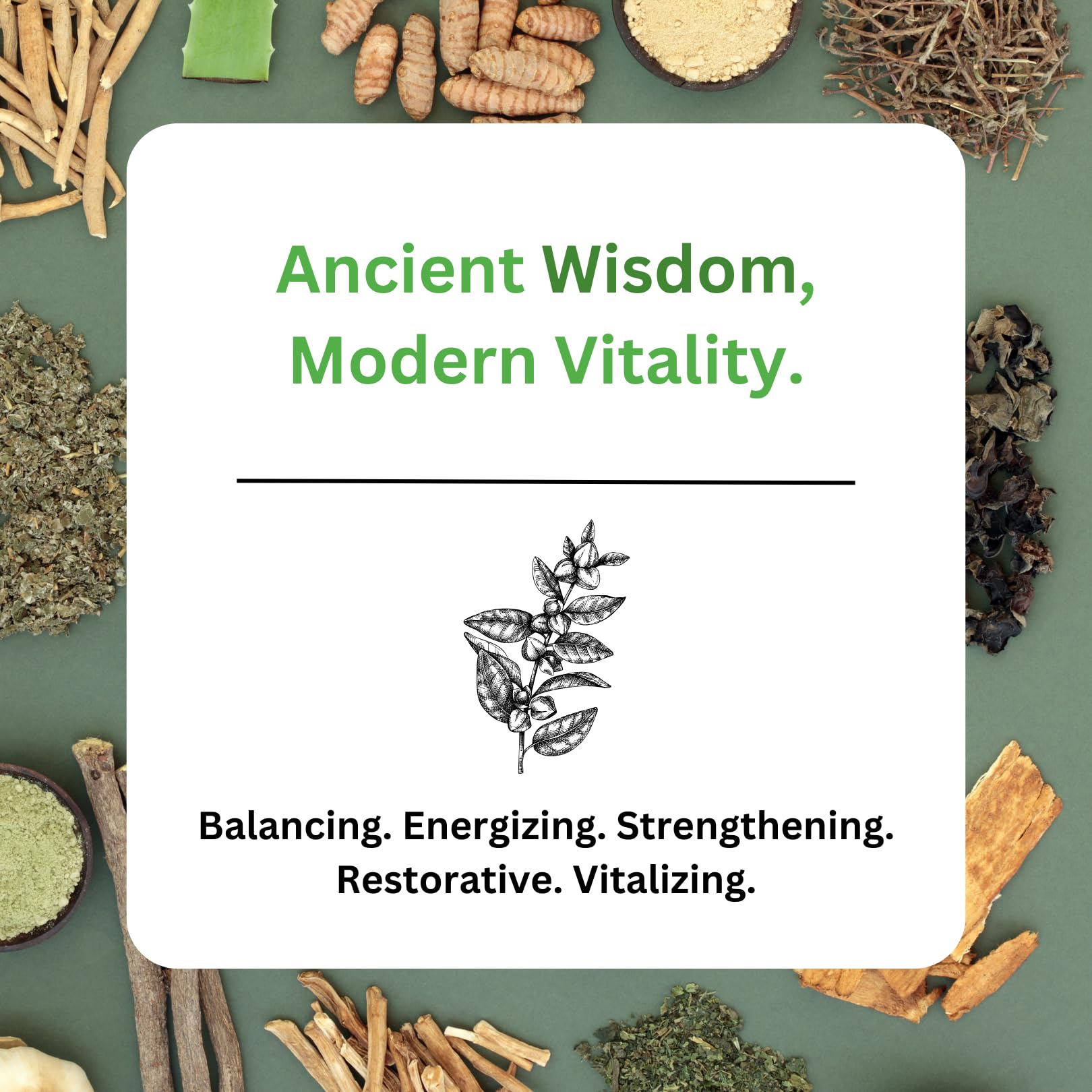 Paradise Herbs, Imperial Adaptogens, with Ashwagandha, Astragalus, Rhodiola, Proprietary Adaptogen Blend for Stress Support, Focus & Energy, 60 Vegetarian Capsules Paradise Herbs buy supplements canada