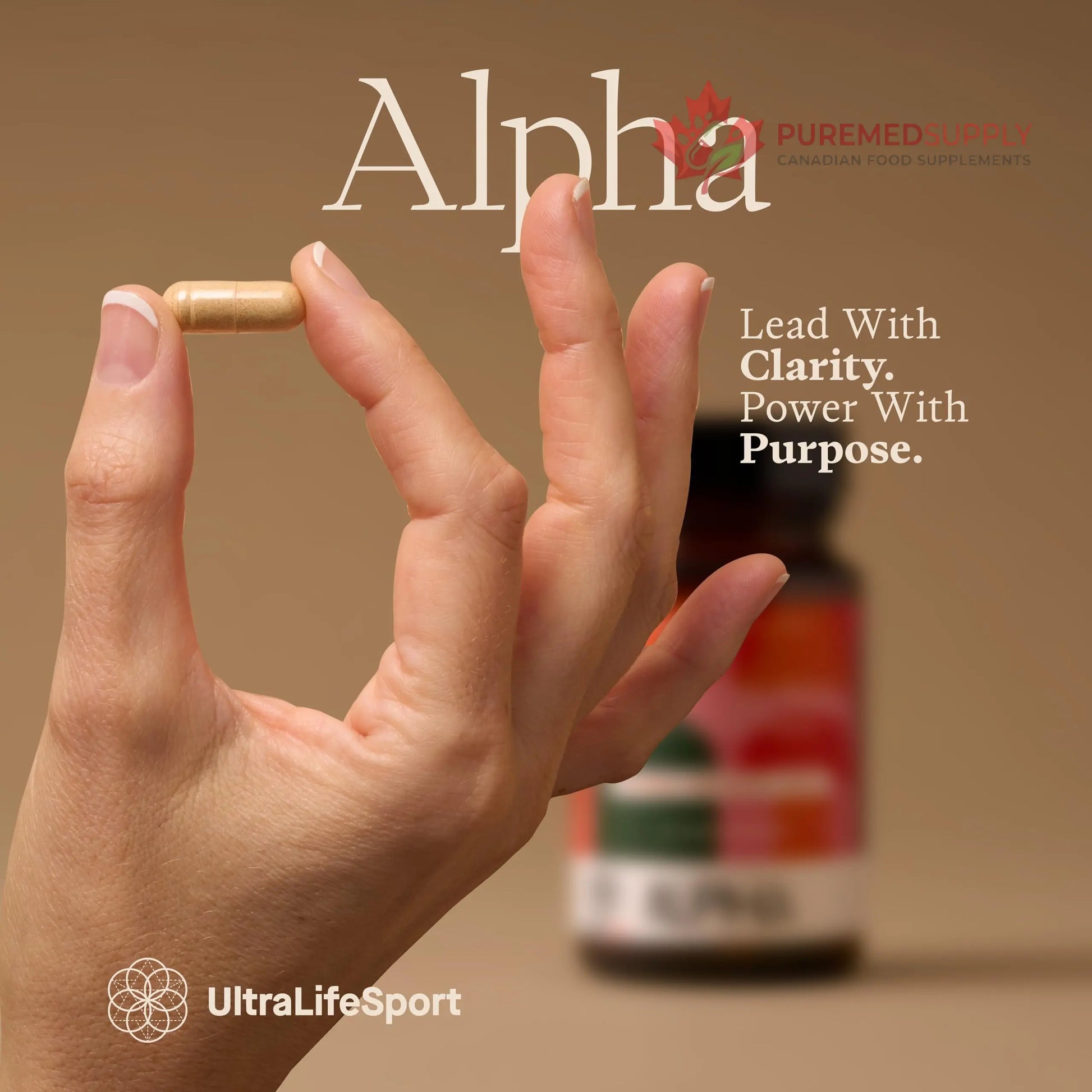 Ultra Life Sport - Alpha Nootropic - 30 Capsule Body and Brain Supplements for Memory and Focus - L-Theanine, B Vitamins, Lion's Mane, Cordyceps Mushrooms, Vitamin D3, K2 MK-7, Lemon Balm and Ginkgo Ultra Life Sport buy supplements canada