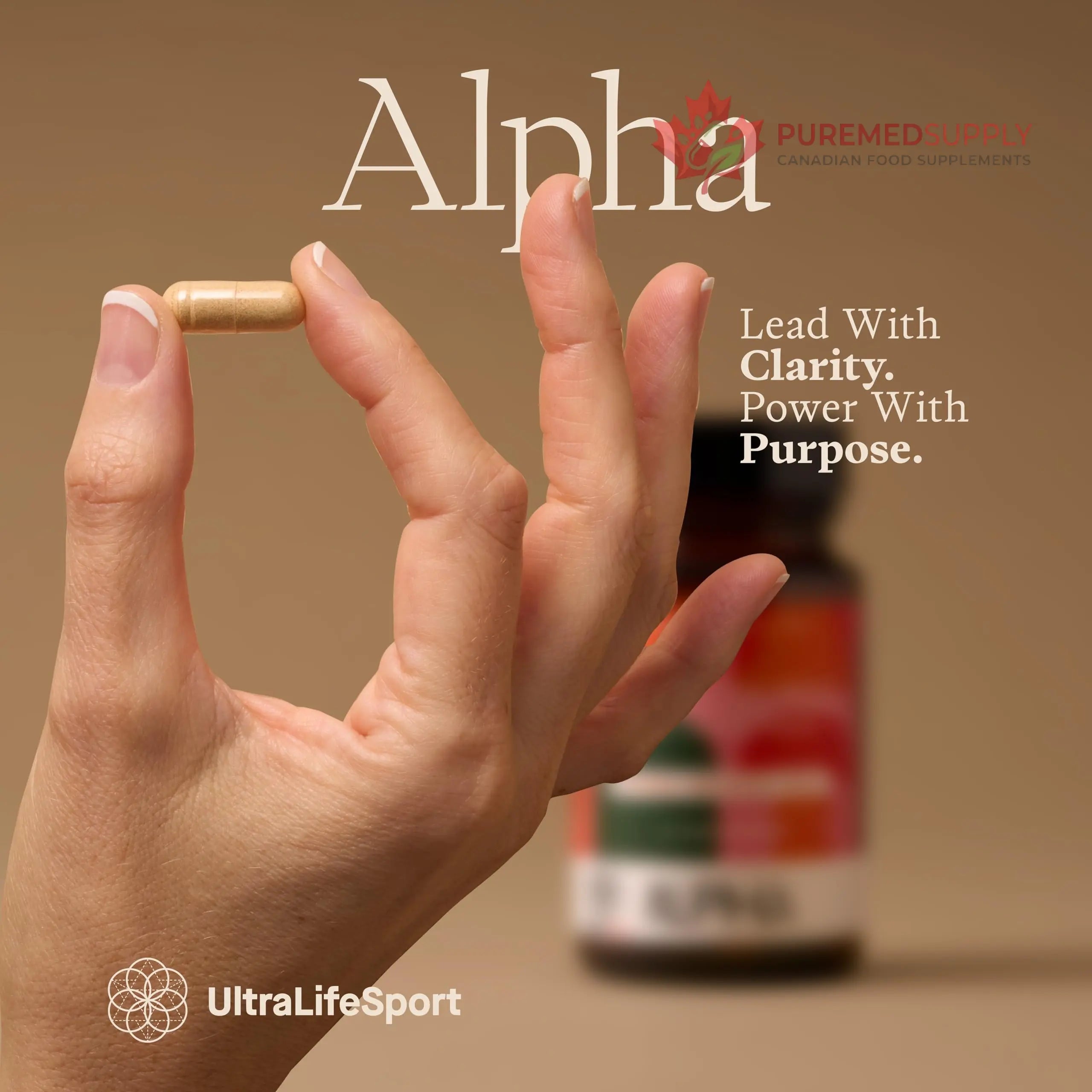Ultra Life Sport - Alpha Nootropic - 30 Capsule Body and Brain Supplements for Memory and Focus - L-Theanine, B Vitamins, Lion's Mane, Cordyceps Mushrooms, Vitamin D3, K2 MK-7, Lemon Balm and Ginkgo Ultra Life Sport buy supplements canada