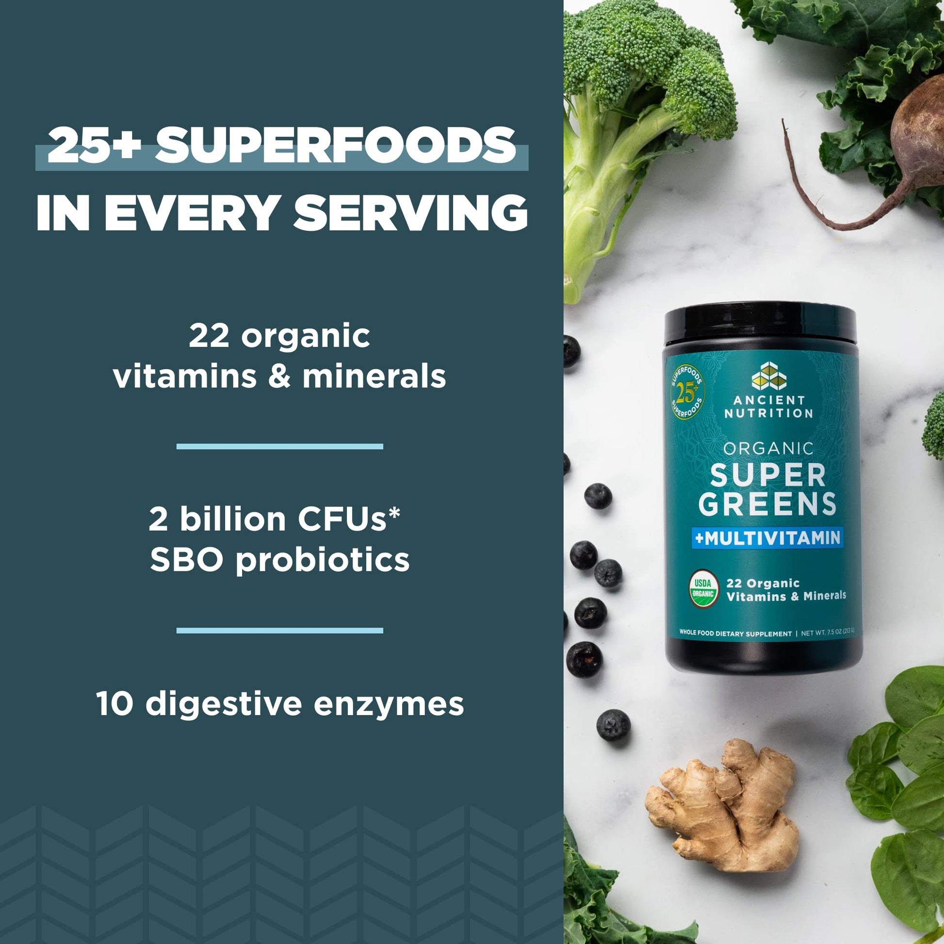Ancient Nutrition, Vitamin Powder, One Bottle Made from Real Fruits, Vegetables and Herbs, for Digestive and Energy Support, 25 Servings, 7.5oz Ancient Nutrition buy supplements canada