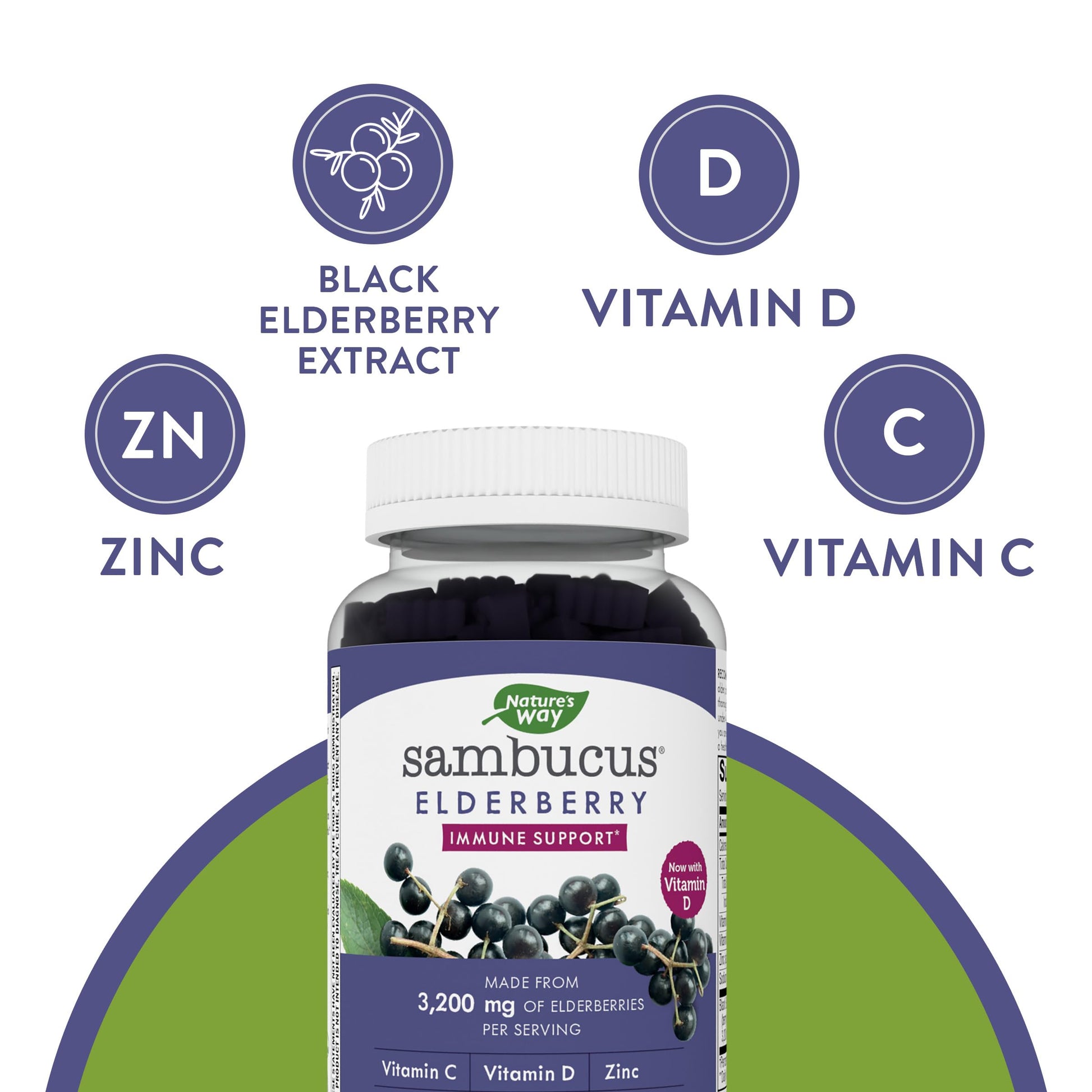 Nature's Way Sambucus Elderberry Gummies - Immune Support Supplement for Kids Nature's Way buy supplements canada