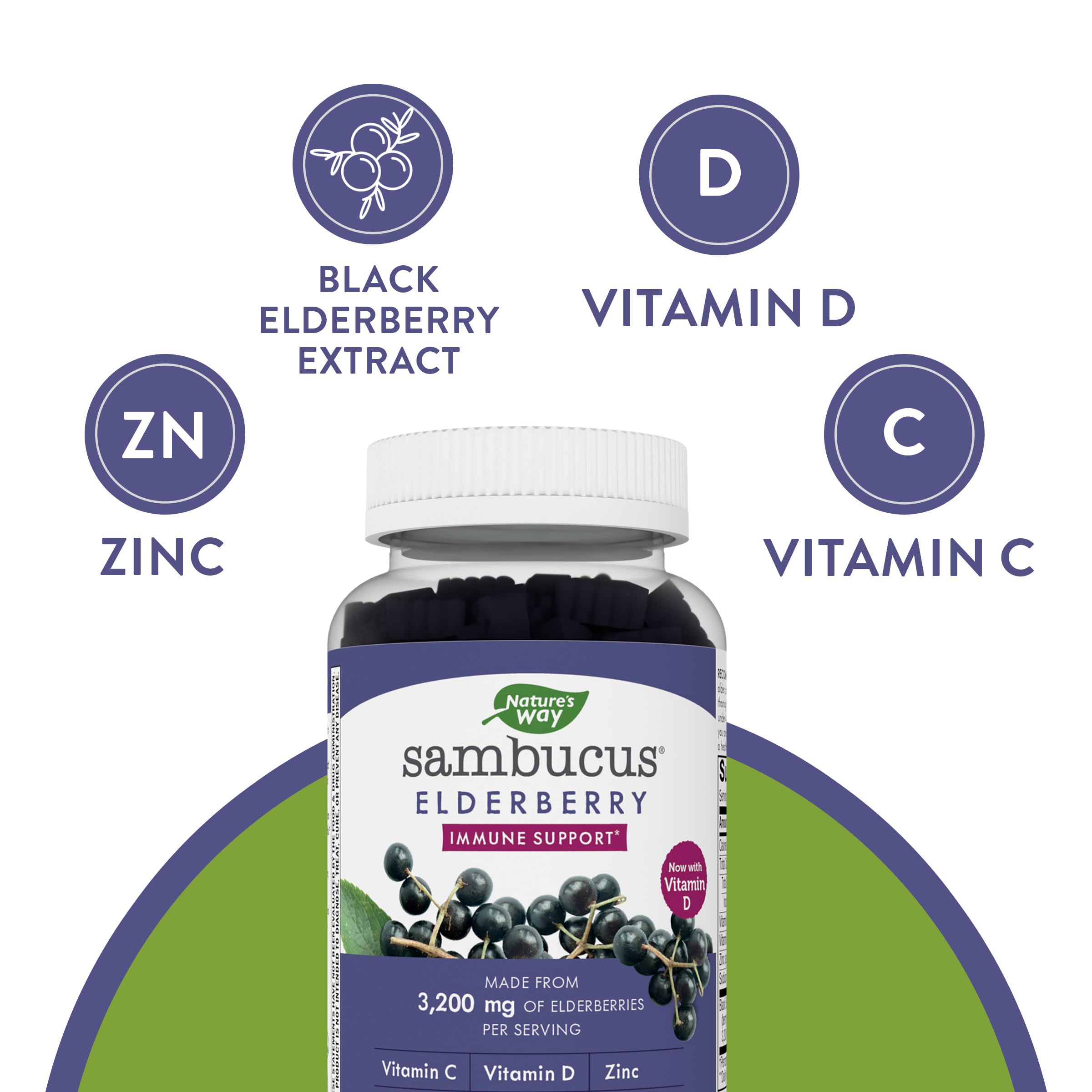 Nature's Way Sambucus Elderberry Gummies - Immune Support Supplement for Kids Nature's Way buy supplements canada
