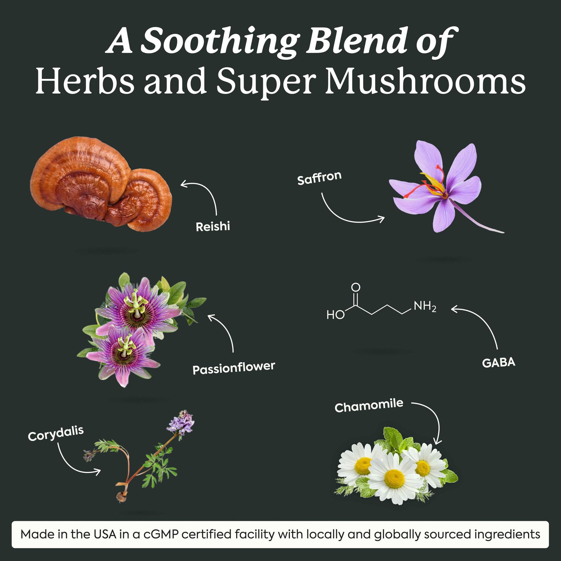 Plant People WonderSleep Mushroom Gummies Supplement for Sleep, No Melatonin with Reishi Super Mushrooms, Wild Elderberry Flavor, Sugar-Free (60 Count) Plant People buy supplements canada
