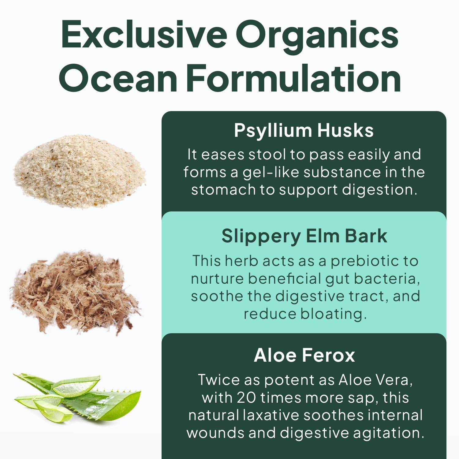 Organics Ocean Better Fiber - Daily Fiber Supplement - Soften Stool for Effortless Bowel Movements - with Psyllium Hulk and Slippery Elm - 90 Capsules Organics Ocean buy supplements canada