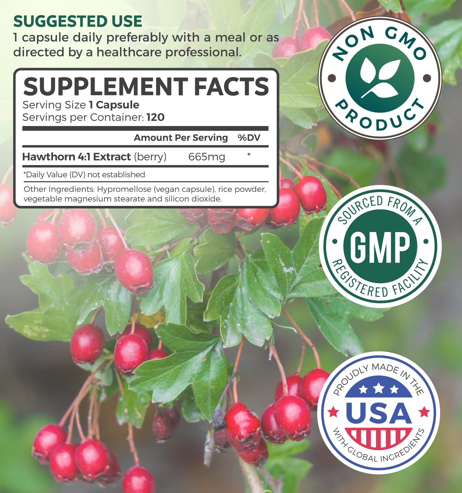 Hawthorn Berry Capsules - 4 Month Supply Digestion & Heart Health Supplement Healths Harmony buy supplements canada
