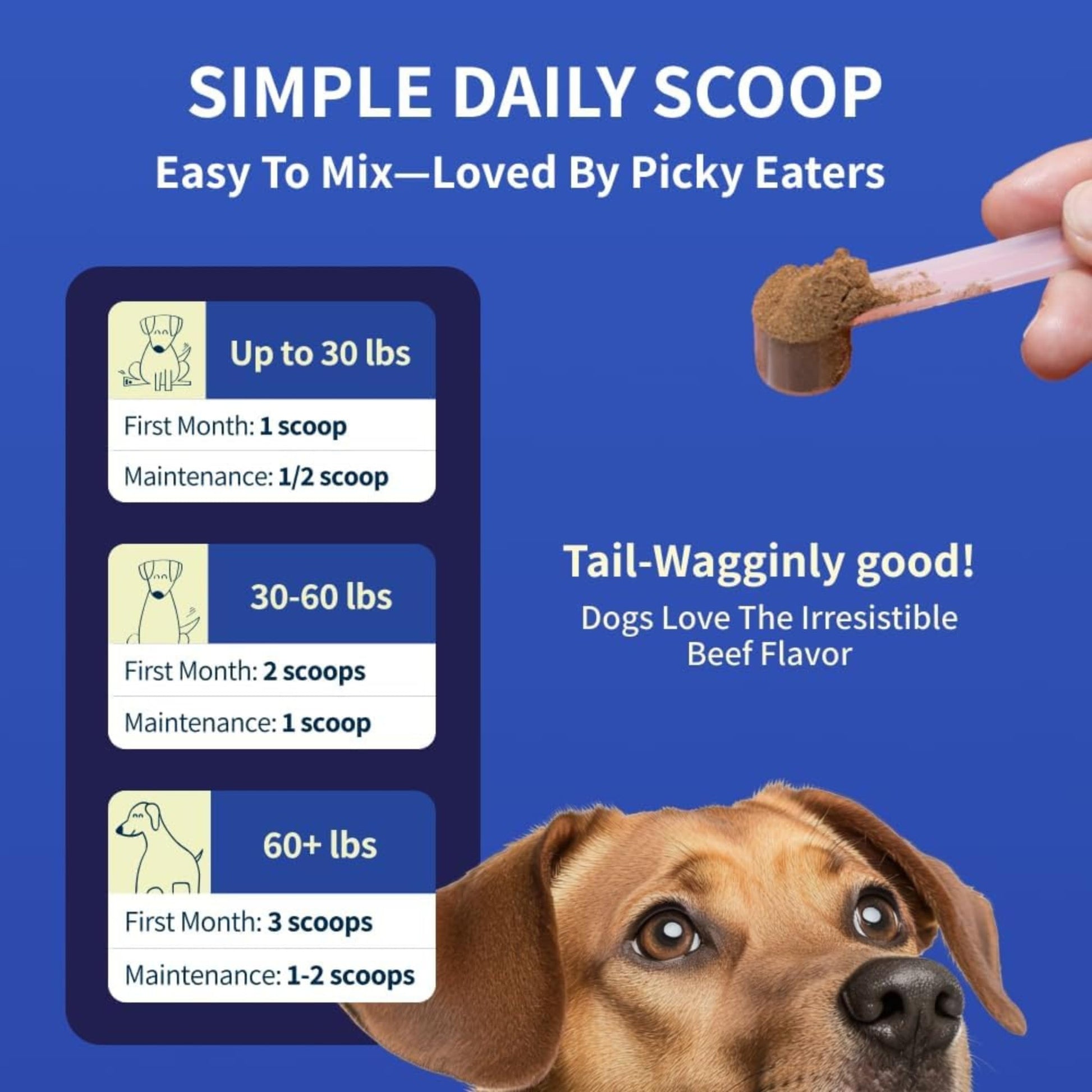 Fifth & Fido Joint Supplement for Dogs - Glucosamine for Dogs - Pet Vitamins and Supplements Powder with Chondroitin & MSM - Hip & Joint Support for Mobility, Stiffness & Flexibility - Mushroom Blend Fifth & Fido buy supplements canada