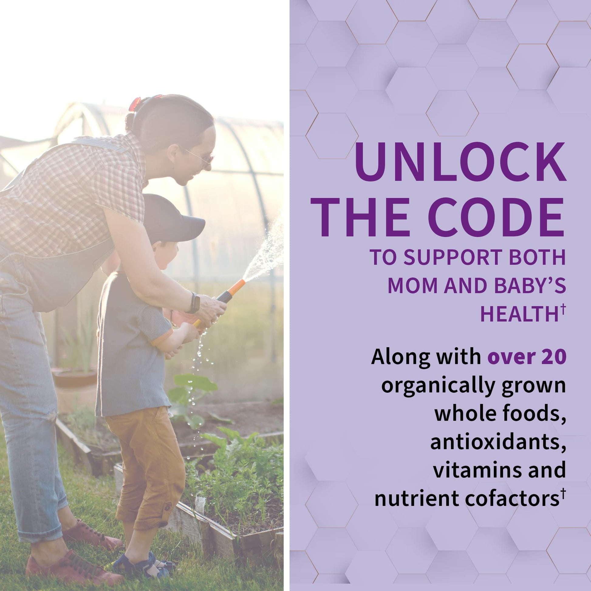Garden of Life Prenatal Multivitamin for Women with Iron, Folate & Vitamin C and D3 for Neural Development & Probiotics for Immune Support Garden of Life buy supplements canada