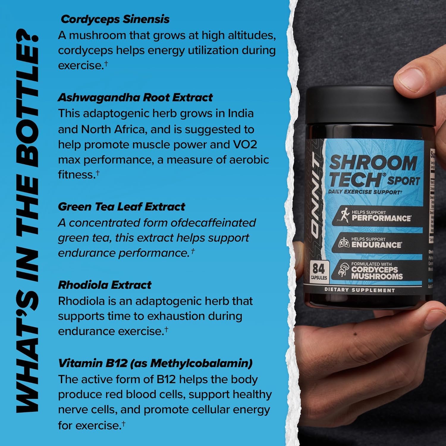 ONNIT Cognitive & Endurance Support Bundle: Alpha Brain Nootropic Capsules (90 Count) + Shroom Tech Sport Exercise Support Capsules (28 Count), IGEN Non-GMO Tested Focus, Energy & Endurance, 2 Pack ONNIT buy supplements canada