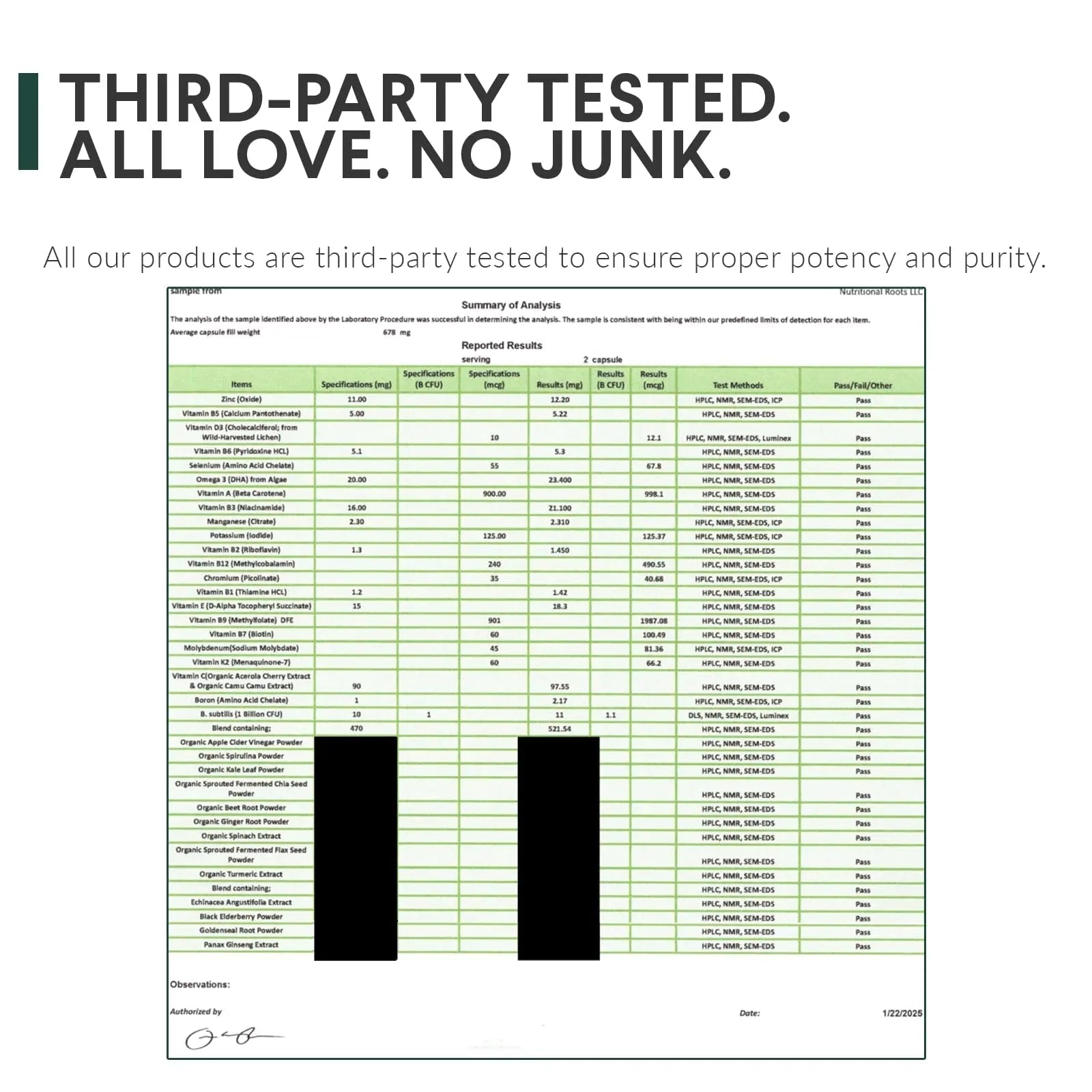 Nutritional Roots Multivitamin+, Award-Winning Plant-Based (Vegan) Multivitamin, Organic Vegetables & Herbs Nutritional Roots buy supplements canada