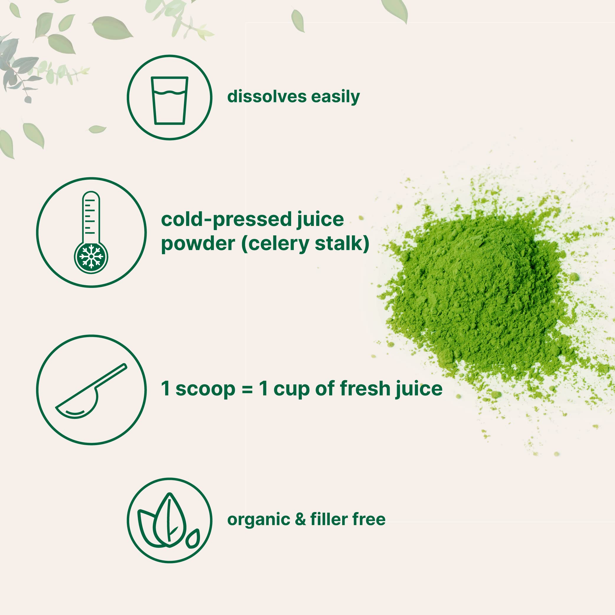Organic Celery Juice Powder, 20 Ounce (1.25 Pound), 71 Serving, Celery Detox and Cold Micro Ingredients buy supplements canada