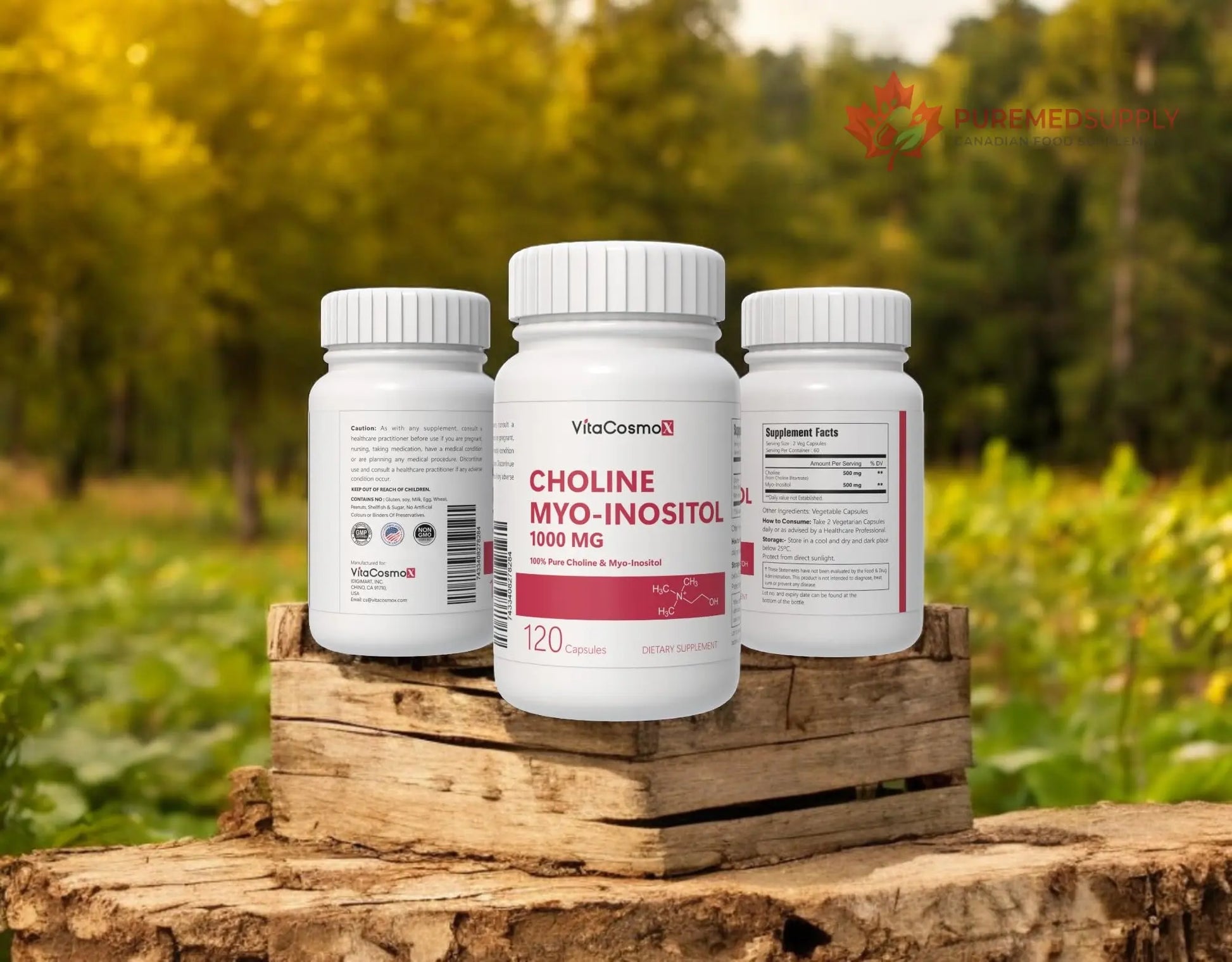 VitaCosmoX Choline and Myo-Inositol Supplement, 1000 mg Each, 120 Veggie Capsules 100% Vegetarian, Non-GMO & Gluten Free VitaCosmoX buy supplements canada