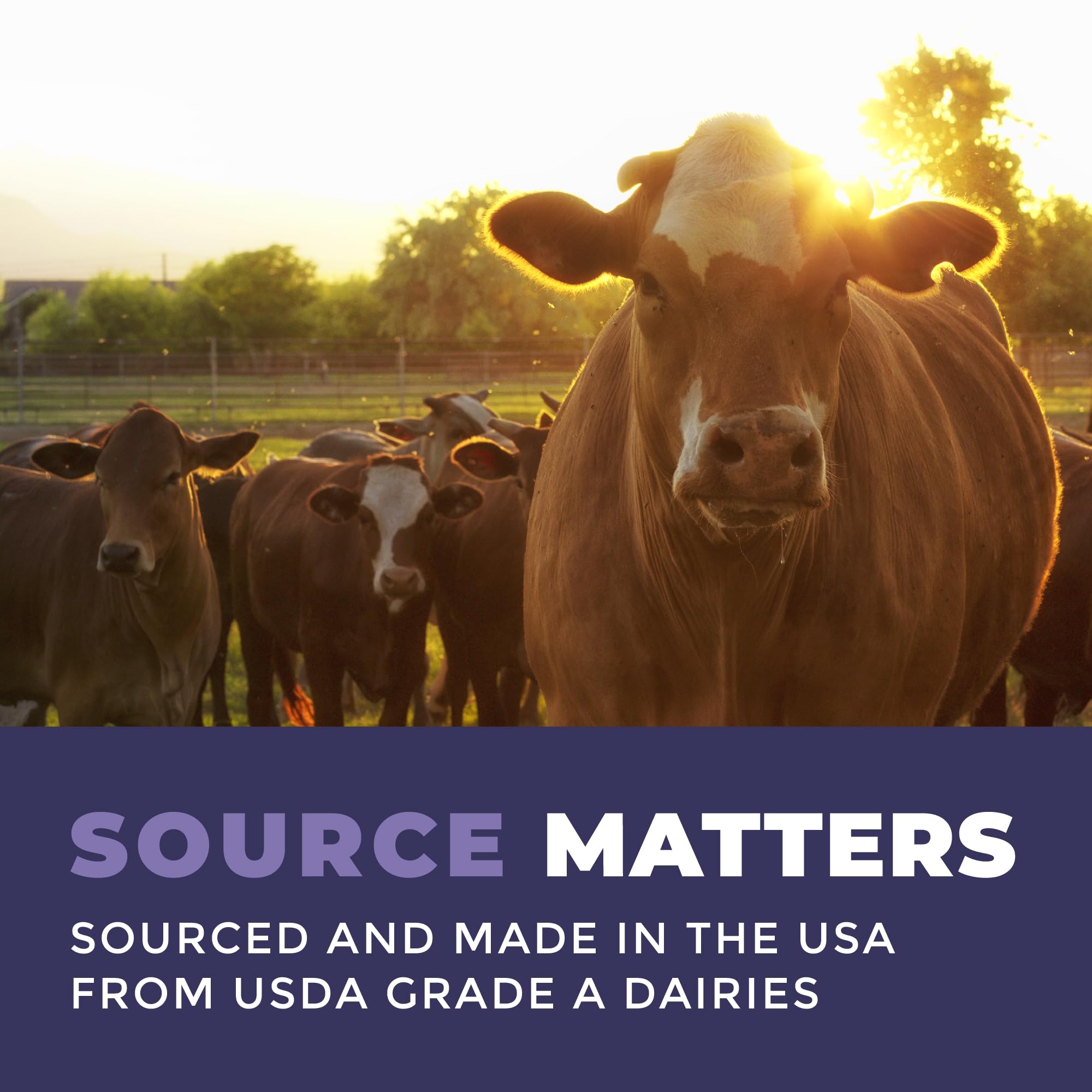 Colostrum Powder – USA Sourced Bovine Colostrum for Humans for Immune Support, Gut Health, Muscle Recovery - Single Ingredient, No Additives, Grass Fed, Non-GMO Colostrum Supplement for Women and Men Left Coast Performance buy supplements canada