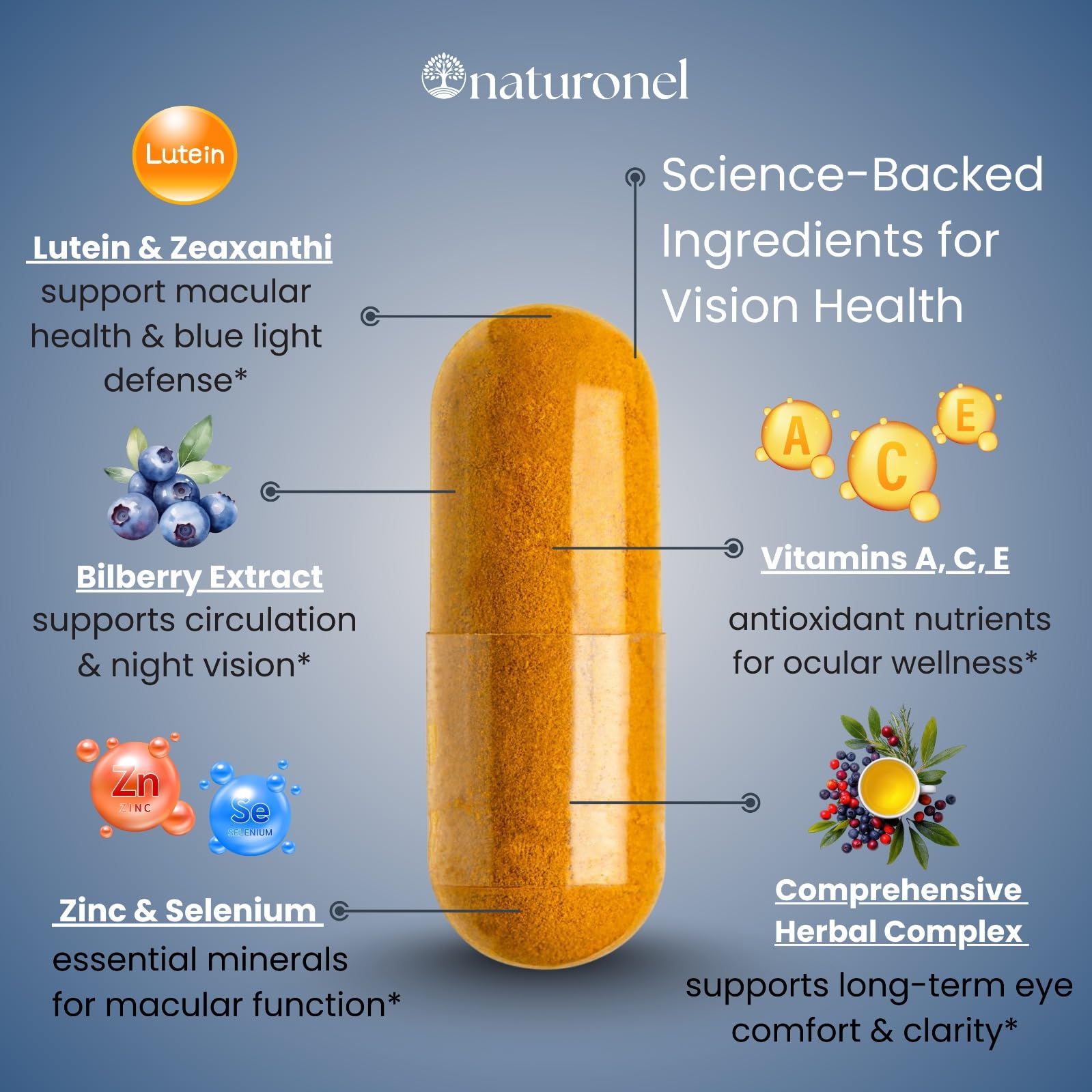 Naturonel Macular Support Formula – Vision & Eye Health with Lutein, Zeaxanthin, Bilberry, Eyebright & Antioxidants | Non-GMO, Made in USA, GMP Certified – 60 Capsules, 30 Day Supply (1) Naturonel buy supplements canada