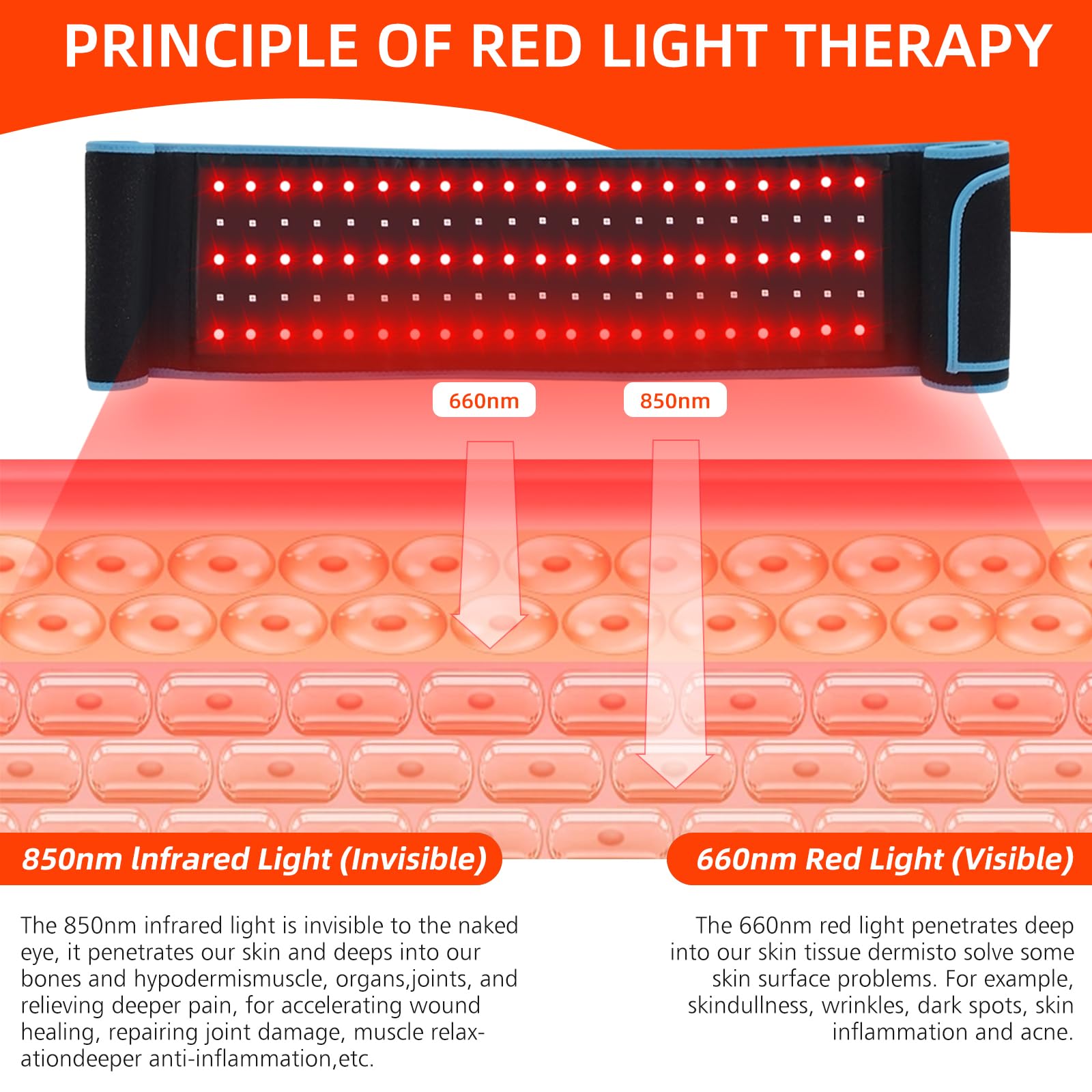 Red Light Therapy Belt, 660&850nm 3 -in-1 Big Chips Near Infrared Therapy Wrap for Body HEDYNSHINE buy supplements canada