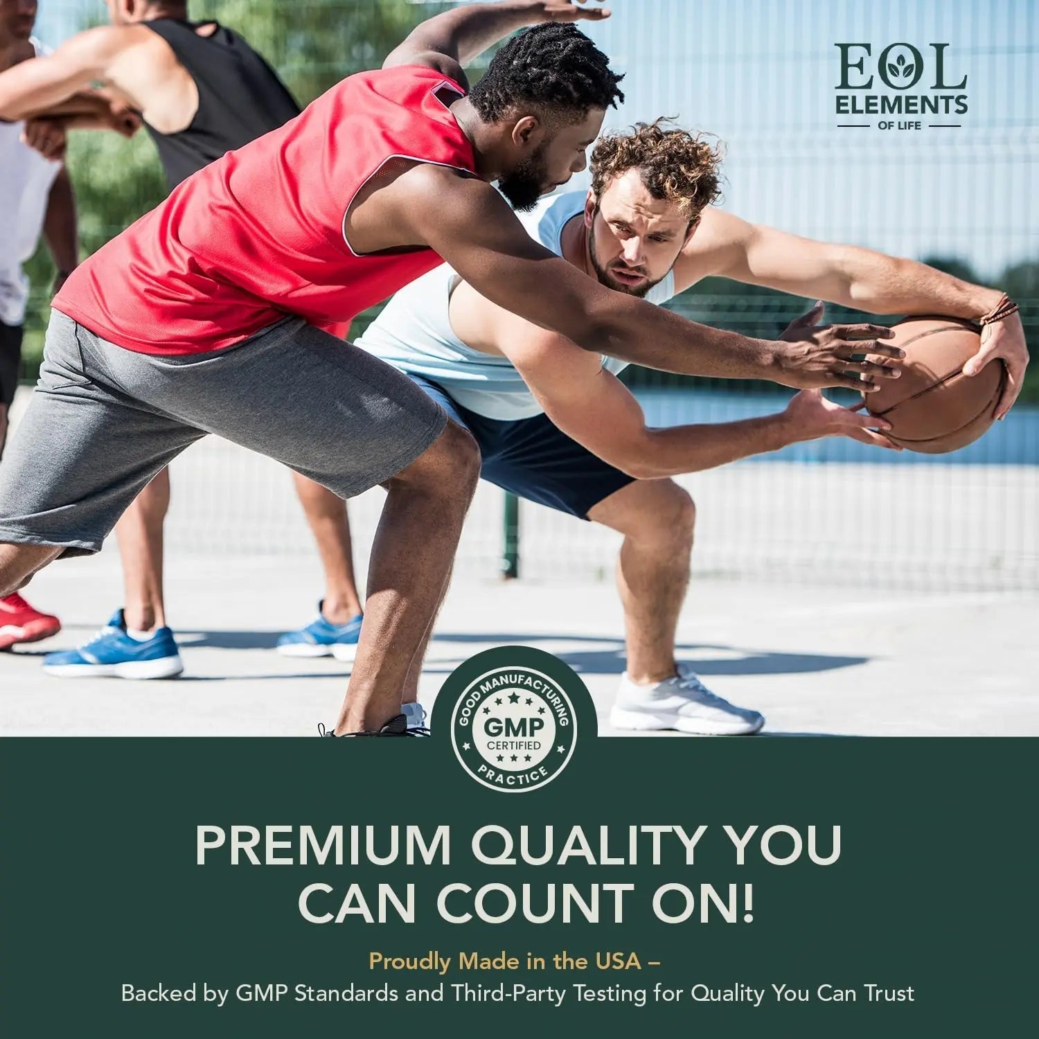 Multivitamin for Men with Vitamin D, K2, Zinc, Vitamin B12, A, E, B6, Calcium – Immune Health & Energy Support Daily Mens Multivitamins Elements of LIfe buy supplements canada