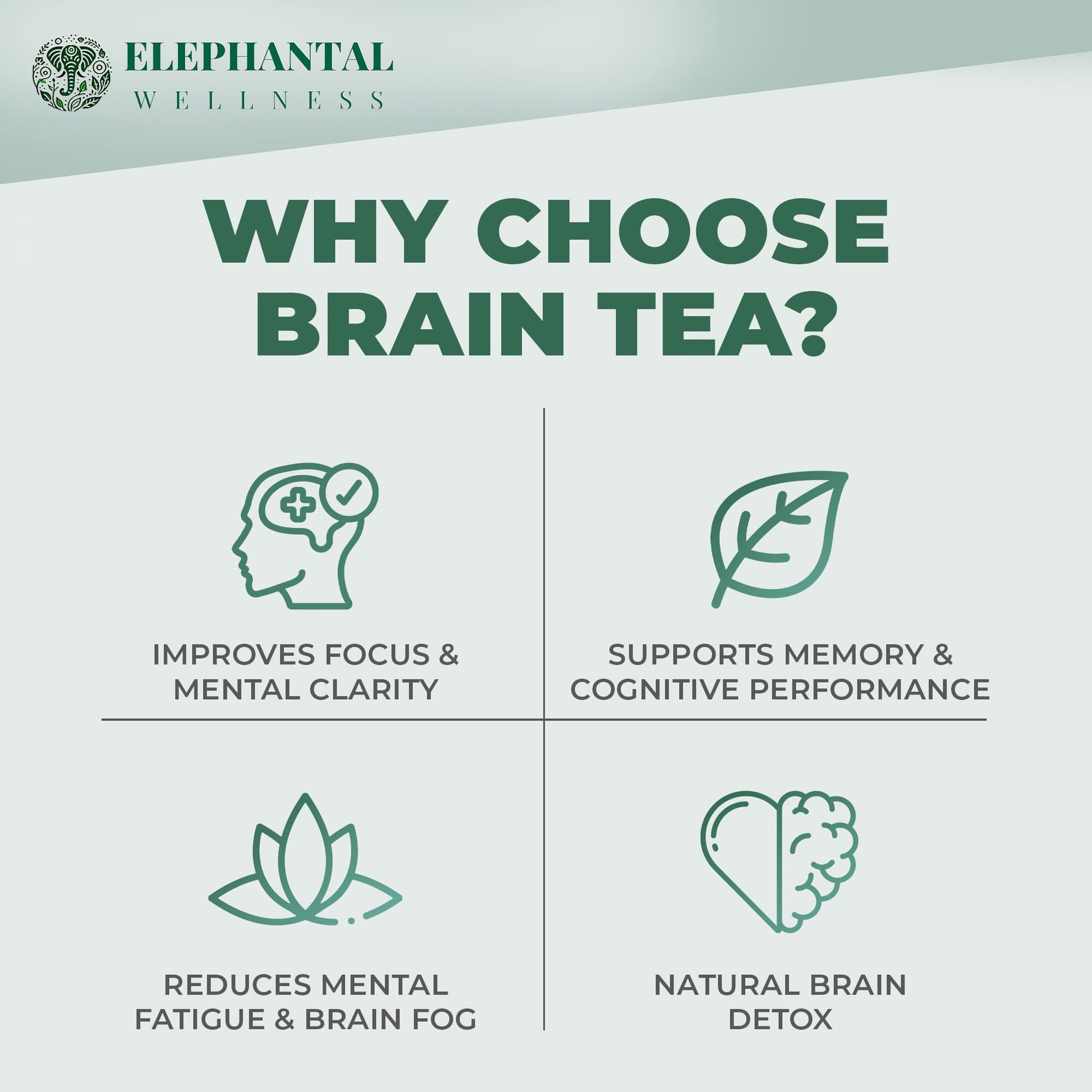 Elephantal Wellness Premium Brain Herbal Tea | Nootropic Focus & Mental Clarity with Ginkgo, Bacopa, Gotu Kola & Rosemary | Non-GMO, Caffeine-Free Coffee Alternative, Handmade Loose Leaf Blend, 2oz Loose Leaf, 20 Servings Elephantal Wellness buy supplements canada