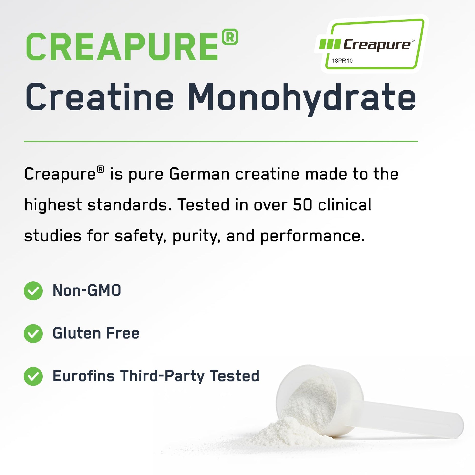 SteelFit Creapure Creatine Monohydrate Powder, Unflavored - German Micronized Creatine Powder for Men & Women - Gym Workout Nutritional Supplements for Muscle Gain SteelFit buy supplements canada