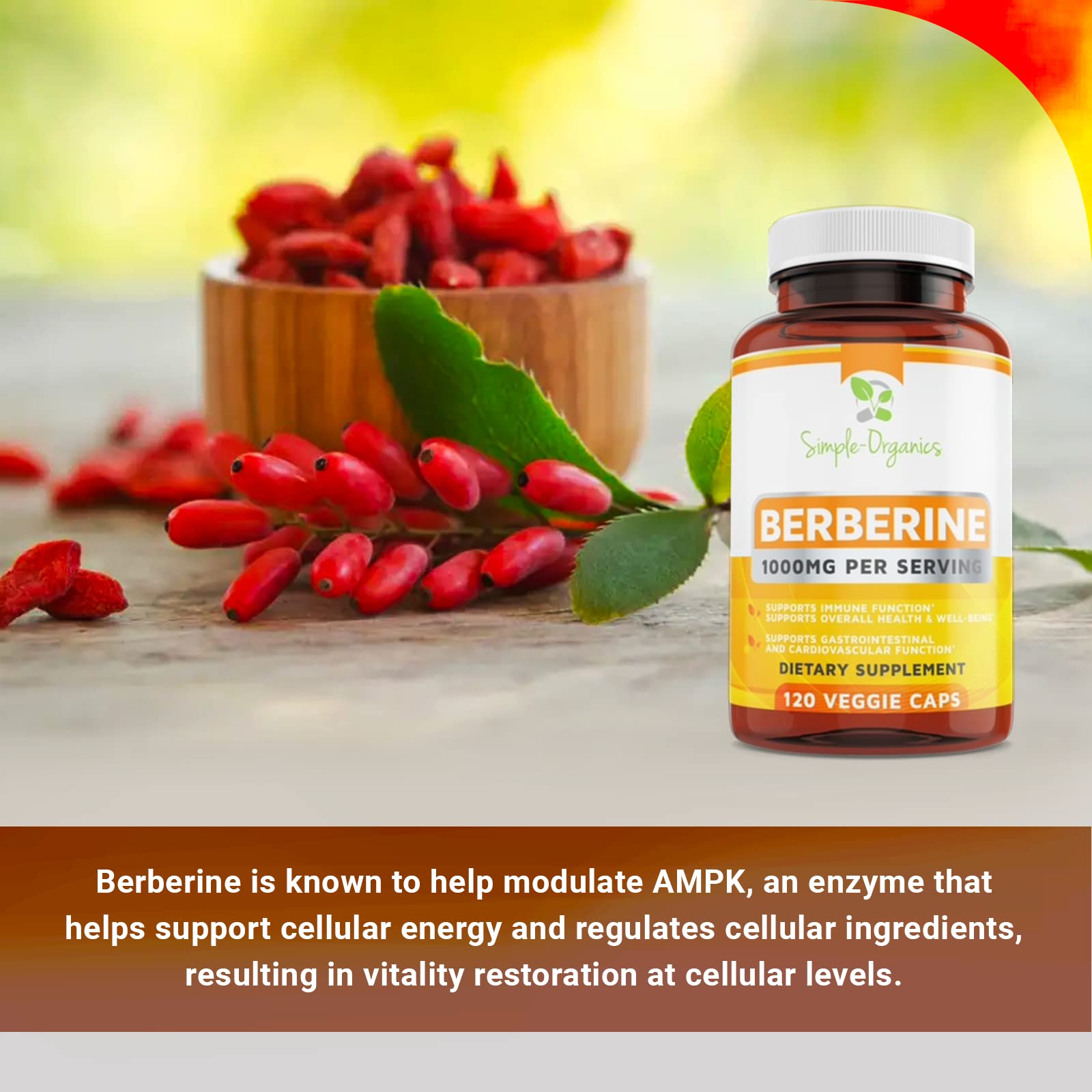 Simple-Organics Berberine 500mg (1000mg Per Serving) for Supports Healthy Immune Simple-Organics buy supplements canada