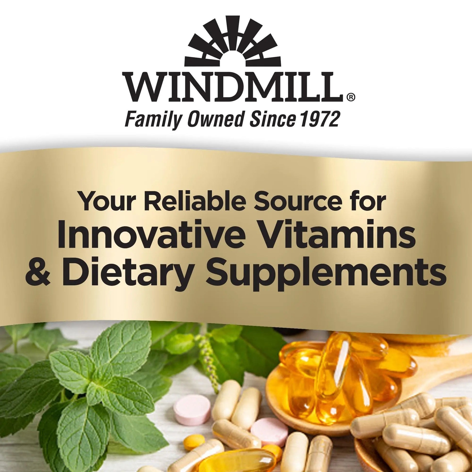 Windmill Natural Vitamins Men’s Multi 50+, with Vitamin D3, Mens Multivitamins for Daily Nutritional Support, Multivitamin for Men, 180 Tablet, 180 Day Supply Windmill buy supplements canada
