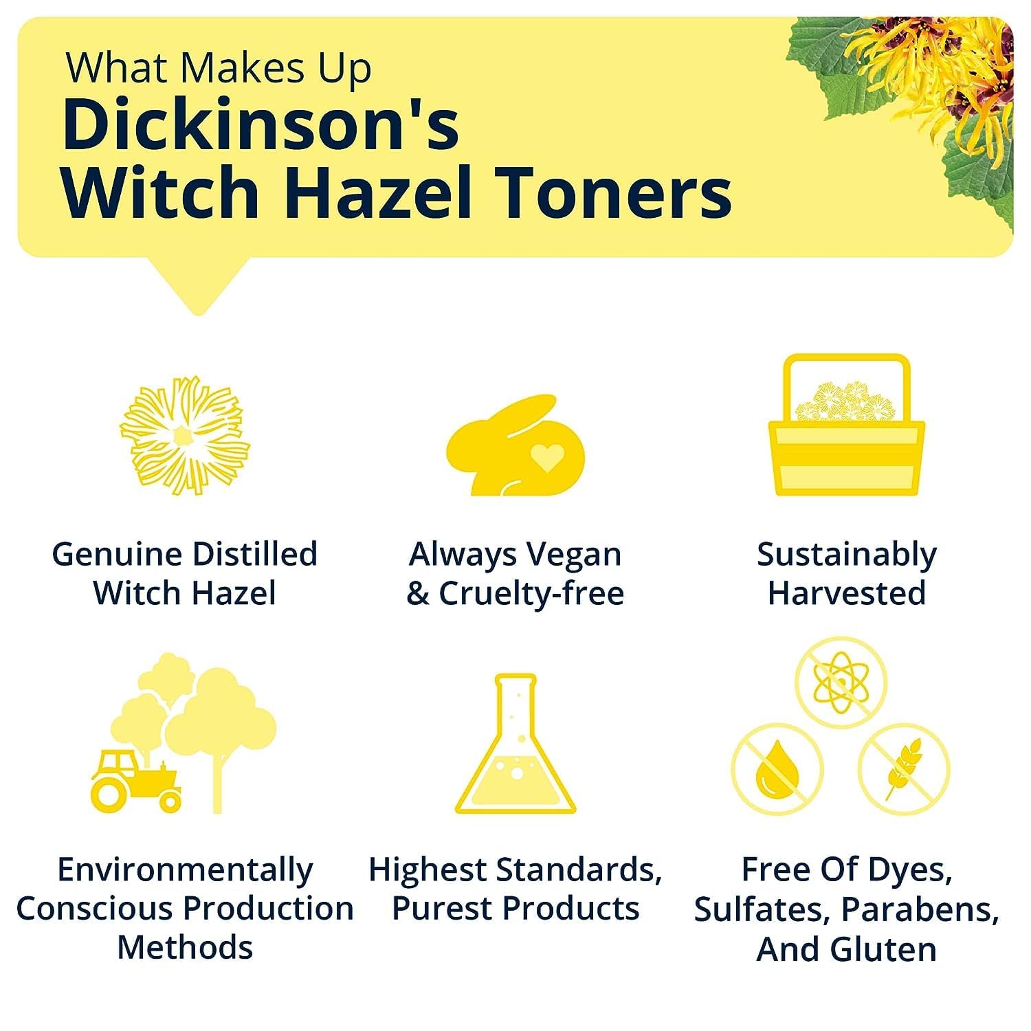 Dickinson's Enhanced Witch Hazel Hydrating Toner with Rosewater, Alcohol Free, 98% Natural Formula, 16 Fl Oz (Pack of 1) Dickinson's buy supplements canada