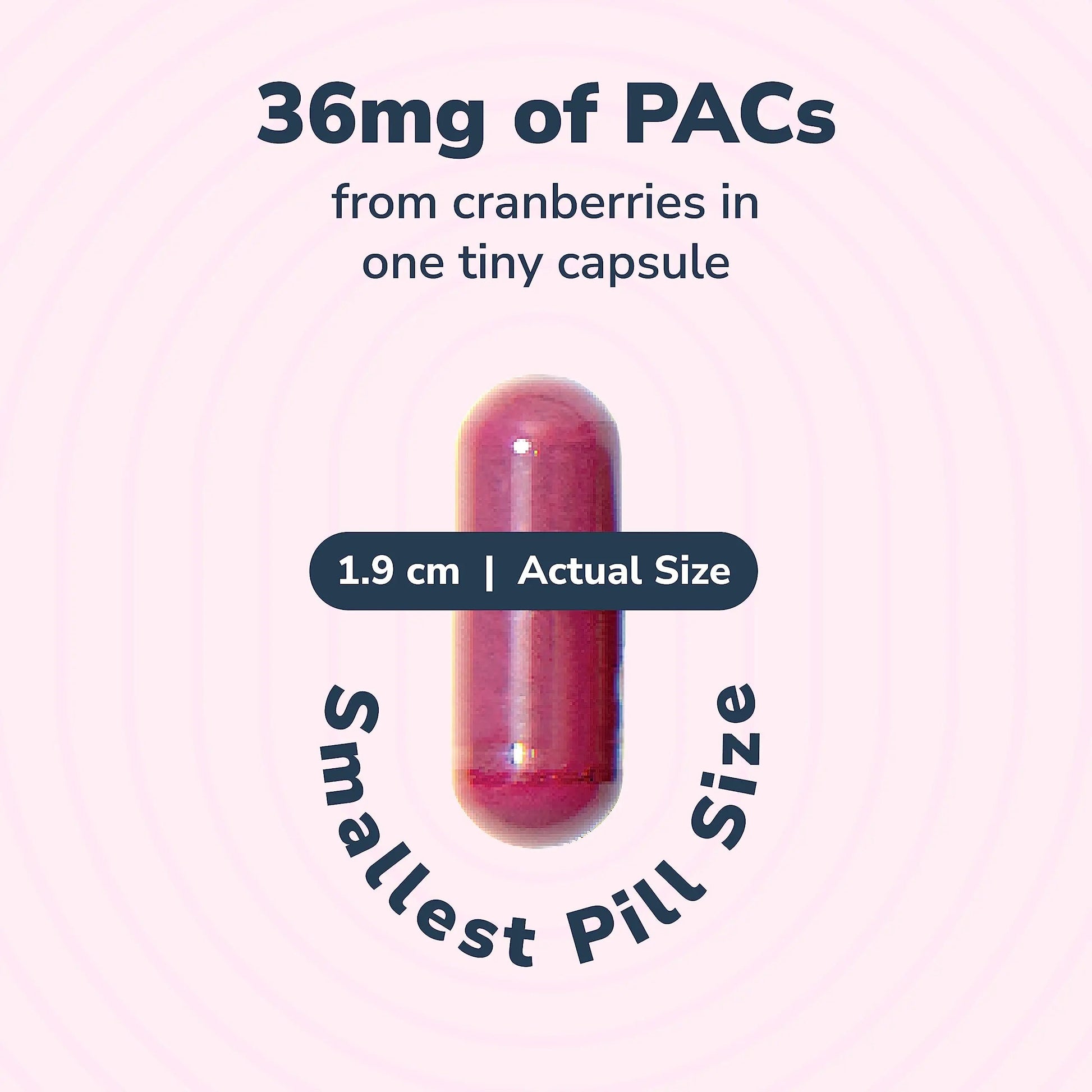 20% Bundle Utiva Cranberry PACs 30 Vegi Capsules Cranberry Supplement for Urinary Tract Health for Women and Men + Utiva D-Mannose 500mg 120 Capsules Naturally Flush The Bladder and Urinary Tract Szio+ buy supplements canada