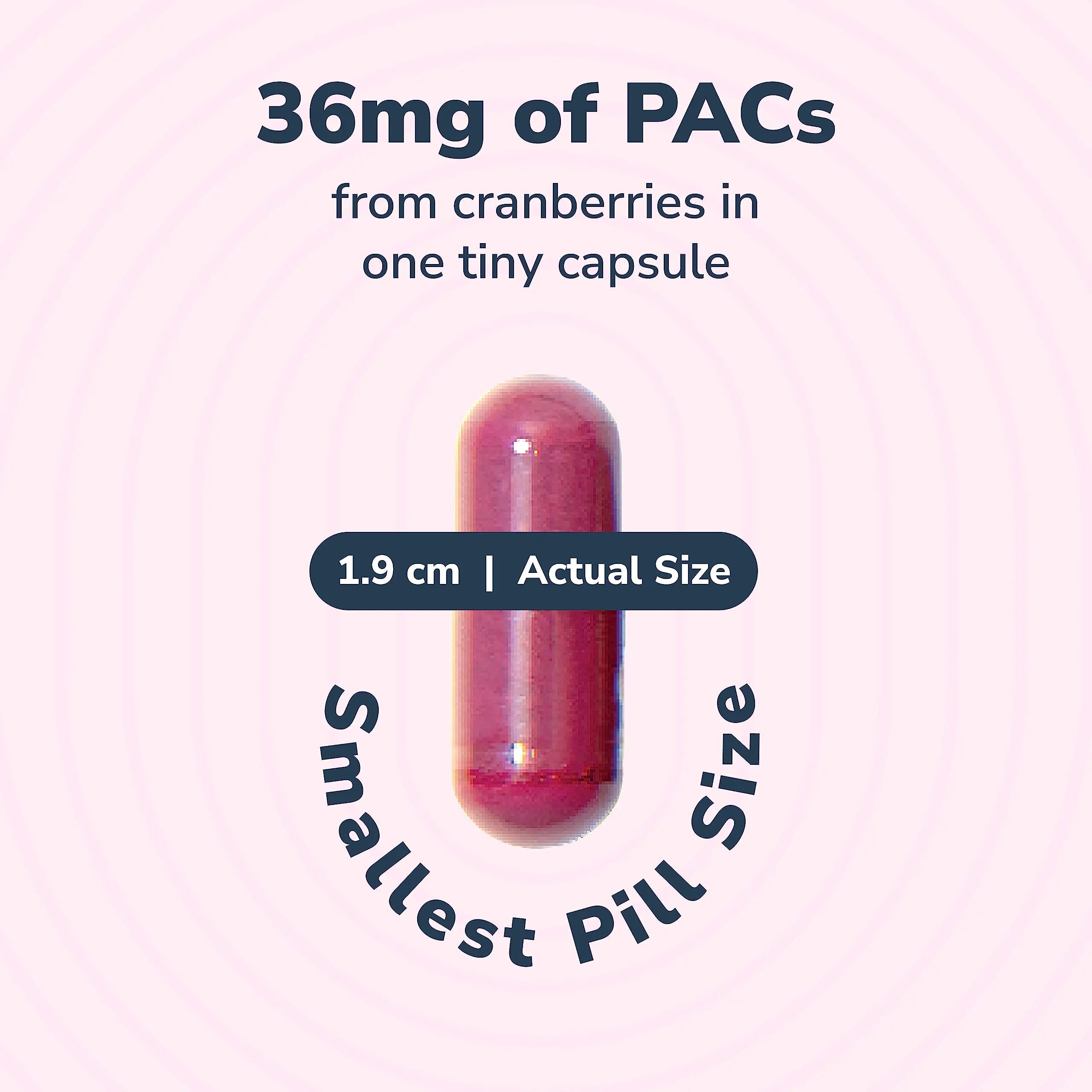 20% Bundle Utiva Cranberry PACs 30 Vegi Capsules Cranberry Supplement for Urinary Tract Health for Women and Men + Utiva D-Mannose 500mg 120 Capsules Naturally Flush The Bladder and Urinary Tract Szio+ buy supplements canada