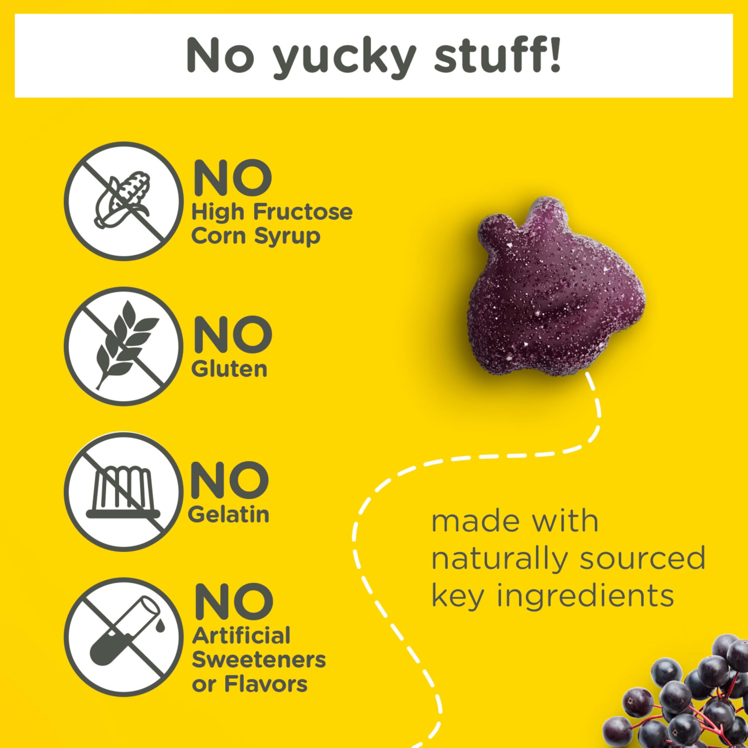 Zarbee’s Kids Elderberry Immune Support Supplement Gummies, Vitamins A C D3 E & Zinc, Elderberry Extract, Gluten & Gelatin Free Zarbee's buy supplements canada