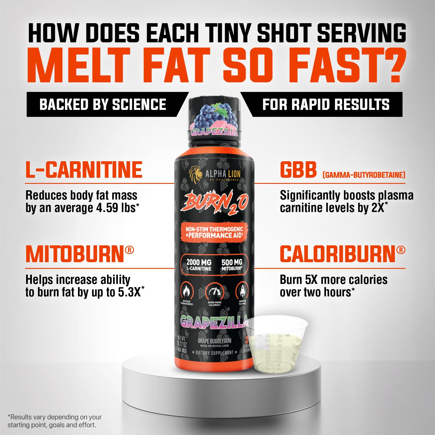 ALPHA LION Burn2O L-Carnitine Liquid 2000mg – Stim Free Super Thermogenic Fat Burner with MitoBurn® & CaloriBurn GP®, Metabolism Booster, Zero Calorie ALPHA LION buy supplements canada