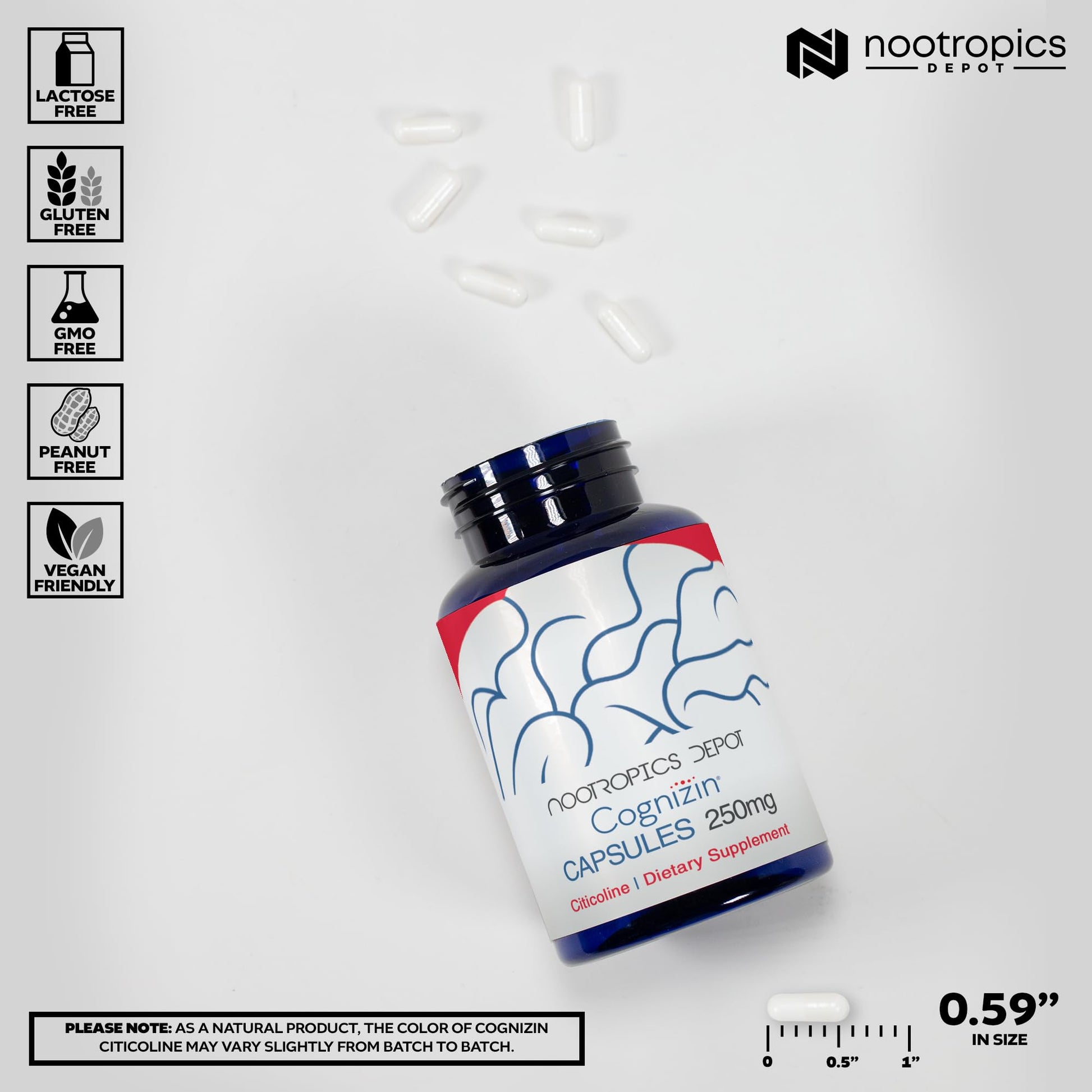 Nootropics Depot Cognizin Citicoline Capsules | 60 Count | Choline Supplement | Brain Health Supplement | Regulates Memory and Cognitive Function | Supports Attention, Focus and Recall Nootropics Depot buy supplements canada