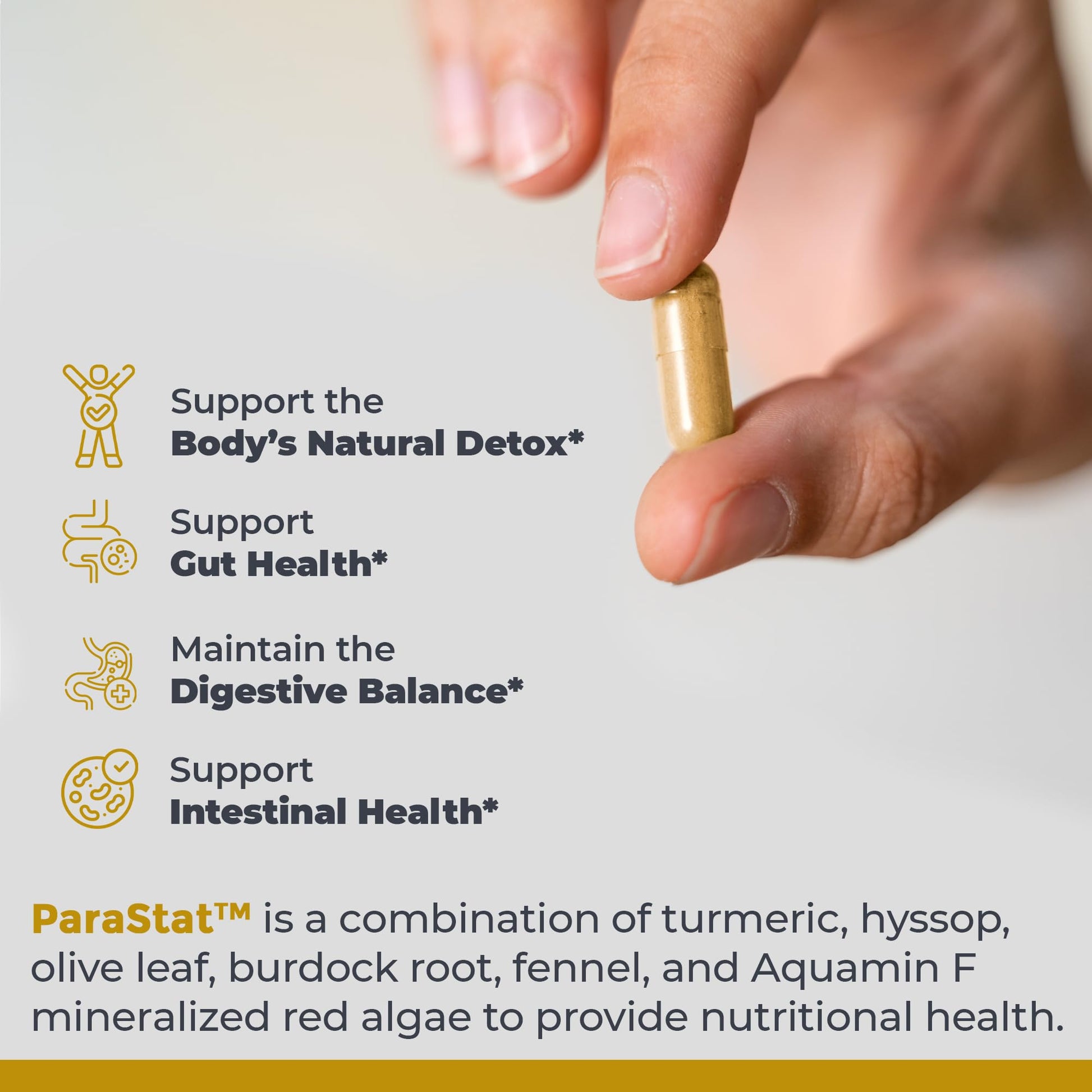 Premier Research Labs ParaStat - Intestinal Cleanse, Natural Gut Cleanse for Women & Men, Support for Colon Detox, Bloating, Digestion & Constipation - 90 Capsules (30 Day Supply) Premier Research Labs buy supplements canada
