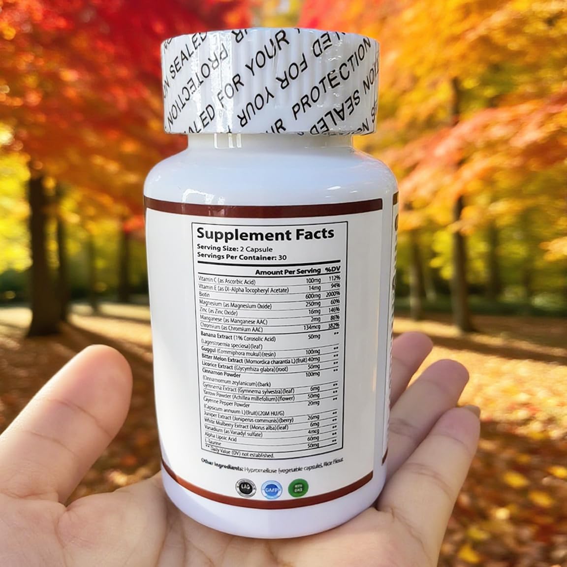 WINYEL Blood Sugar Complex Supplement - with Cinnamon, Bitter Melon, Chromium, Mulberry, Alpha Lipoic Acid, 60 Capsules WINYEL buy supplements canada