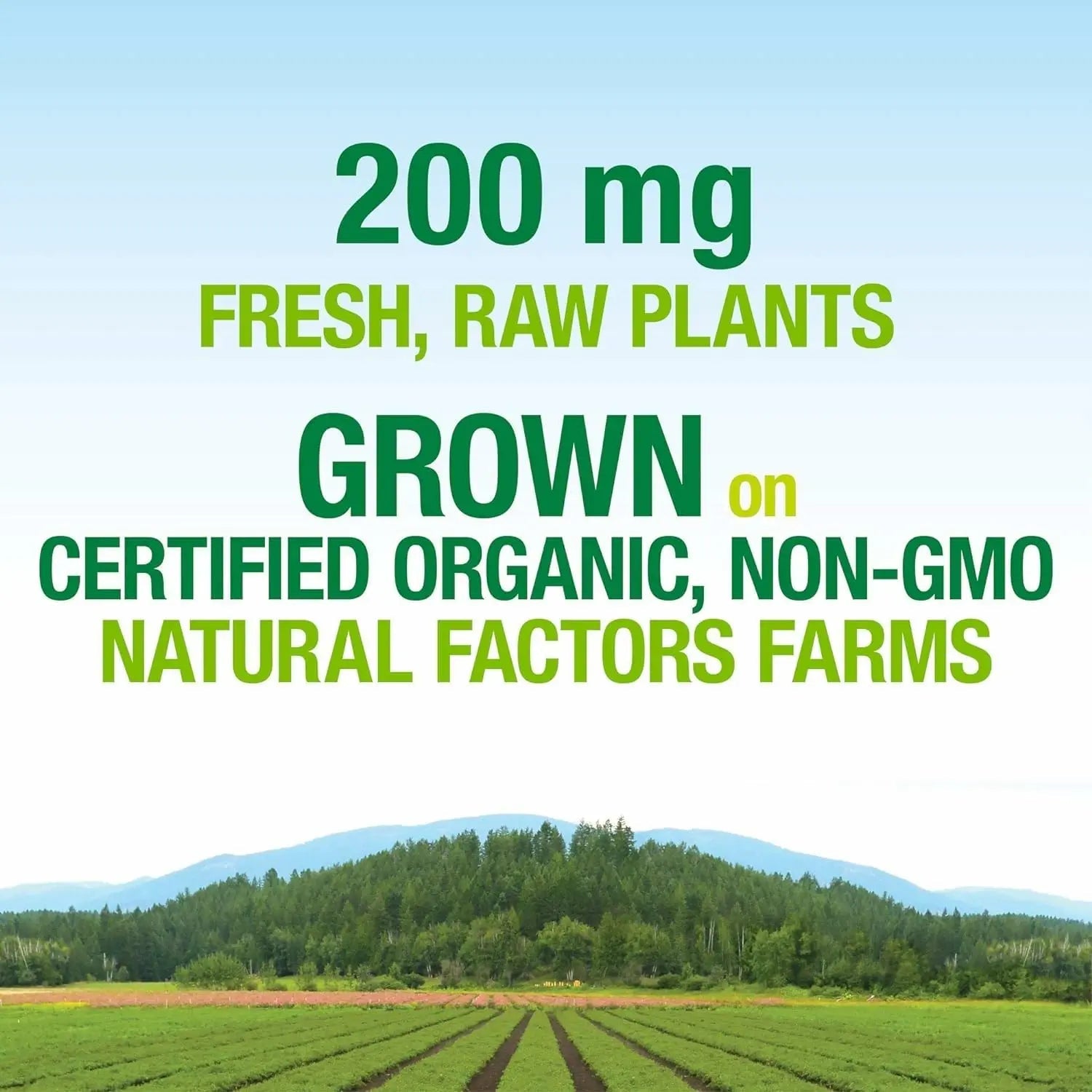Natural Factors Whole Earth & Sea, Women's Prenatal Multivitamin and Mineral, Whole Food Supplement, Vegan, 120 Tablets Natural Factors buy supplements canada