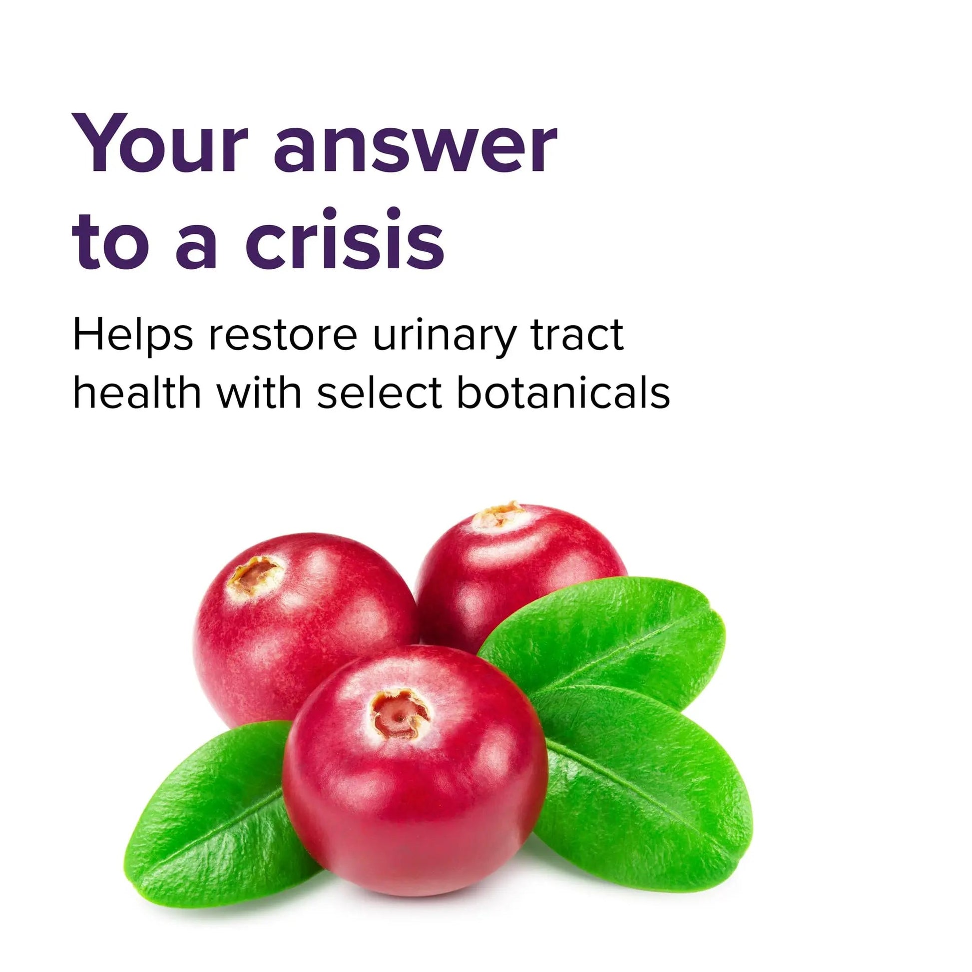 Vibrant Health, U.T. Vibrance Stick Packs, Crisis Intervention for Urinary Tract Health, 10 Servings Vibrant Health buy supplements canada