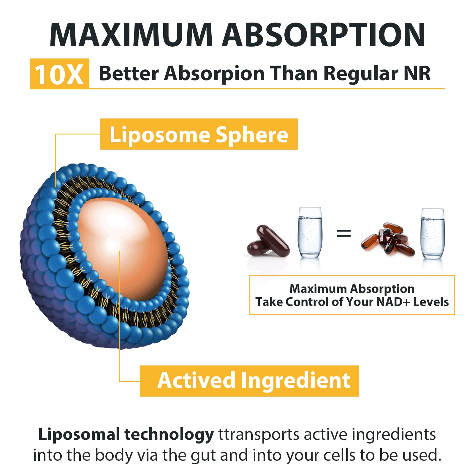 Liposomal Nicotinamide Riboside 2000 MG with TMG and Pterostilbene, Similar to NMN Supplements Boost NAD+, Support Healthy Aging, 240 Count Orgabay buy supplements canada