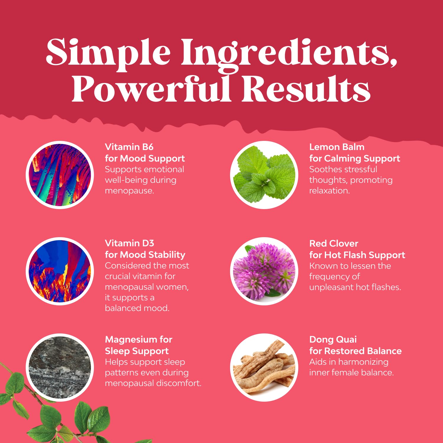 Complete Herbal Menopause Supplement for Women - Multibenefit Menopause Ease Hormone Balance for Women for Night Sweats Mood and More with Dong Quai Vitex Chaste Berry and Black Cohosh - 90 Count Natures Craft buy supplements canada
