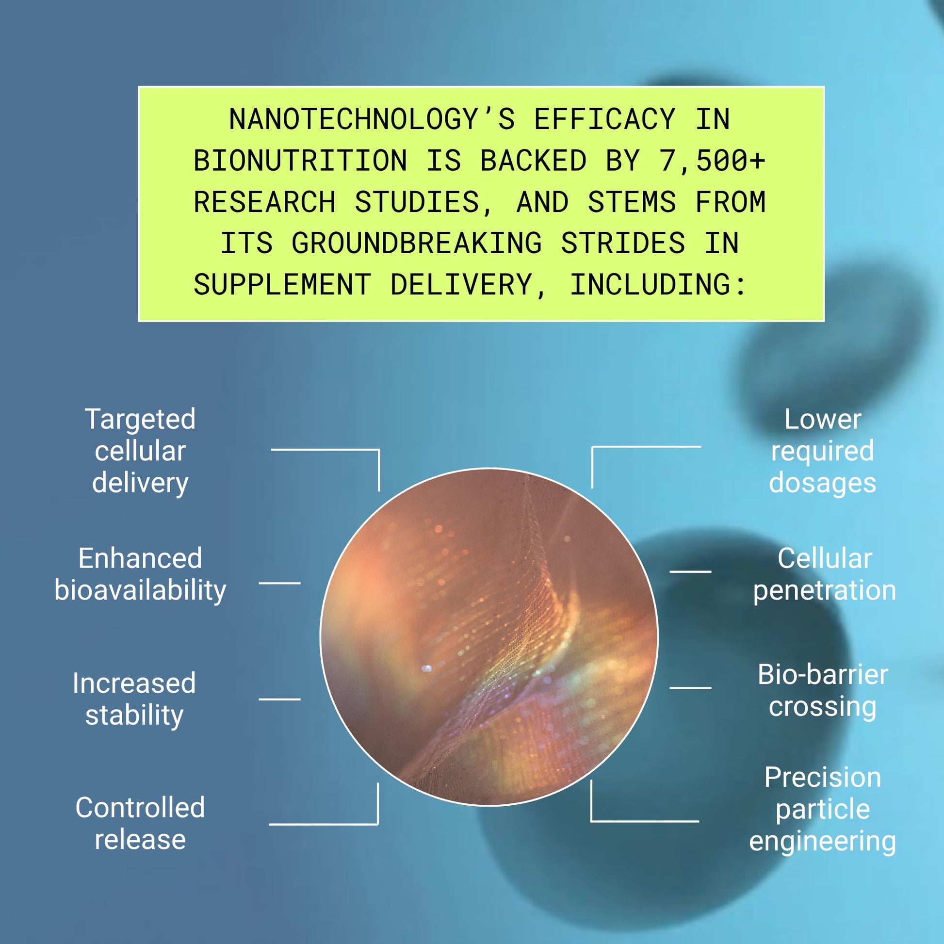 Essential Brain Health Supplements Nootropic for Memory and Focus – for Adults with NanoCap® Technology, Phosphatidylserine, Bacopa, Ginkgo Biloba, Omega 3, B6, B12, 60 Softgels by Greedy® Nutrition Platinum Health buy supplements canada