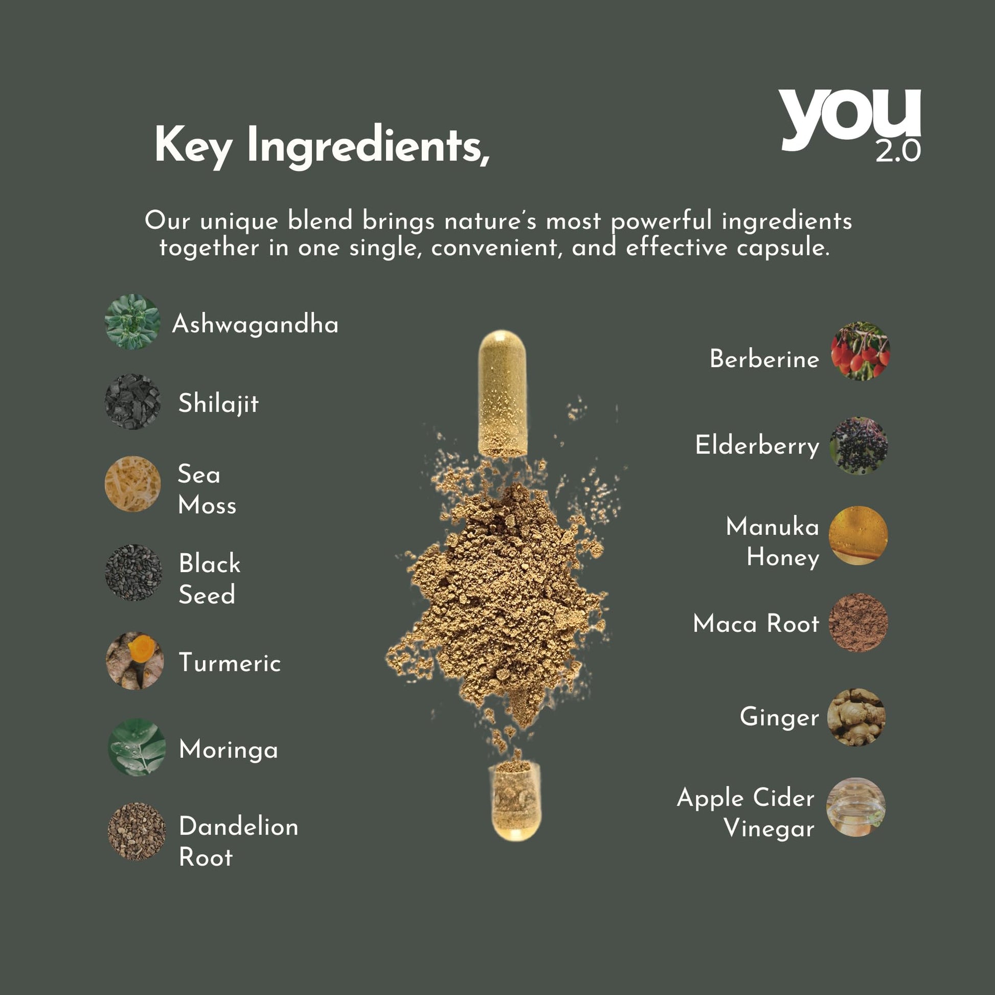 YOU 2.0 Powerhouse Superfood with Seamoss, Shilajit, Ashwagandha, Berberine, Maca, Black Seed Oil, Turmeric, Vitamin C, D, B12, K2 - Moringa, Apple Cider, Made in USA for Overall Health & Immunity YOU 2.0 buy supplements canada