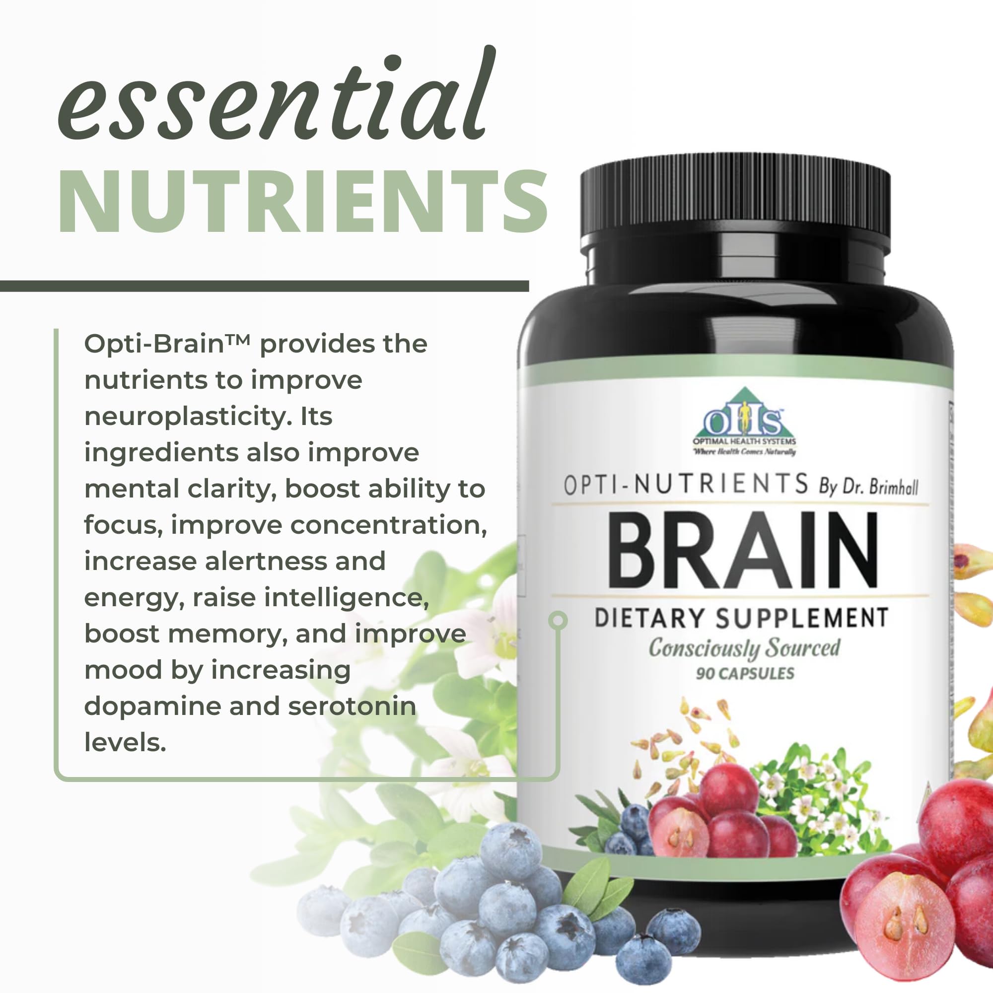 Optimal Health Systems Brain | Most Comprehensive Nootropic + Enzyme Delivery | 700 mg Scientific Neuroenhancment Blend | Boost Mood, Memory & Focus | 90 Capsules Optimal Health Systems buy supplements canada
