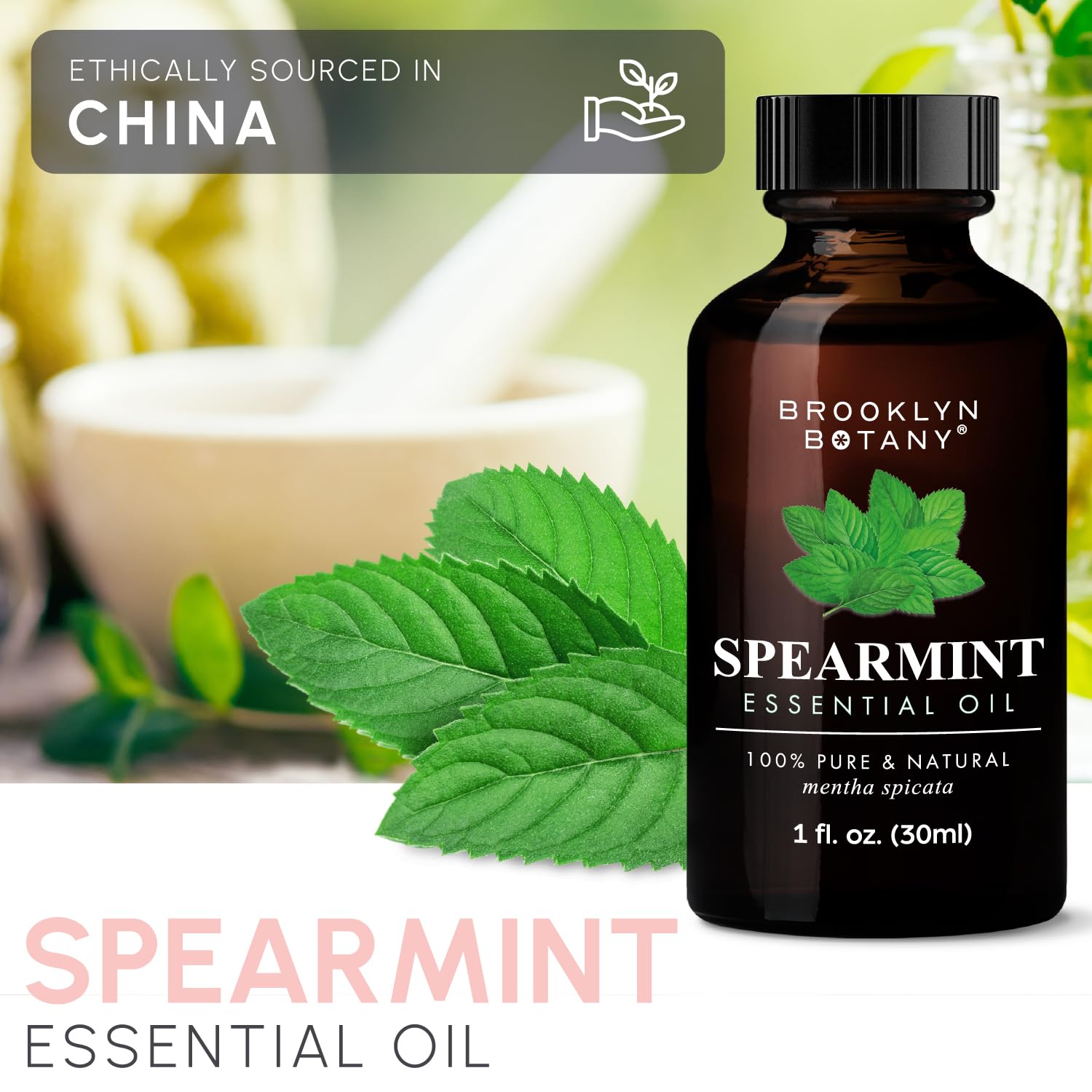 Brooklyn Botany Spearmint Essential Oil – 100% Pure and Natural – Premium Grade Oil Brooklyn Botany buy supplements canada