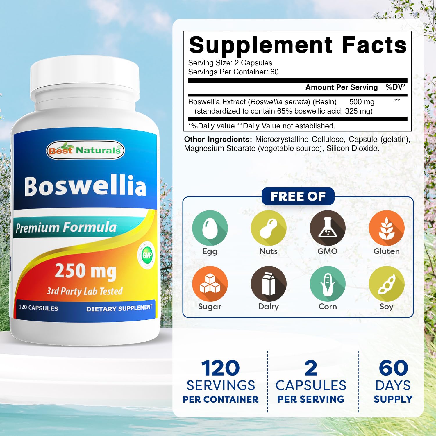 Best Naturals Boswellia Serrata Joint Health 250 mg 120 Capsules - Standardized to 65% Boswellic Acid (120 Count (Pack of 3)) Best Naturals buy supplements canada