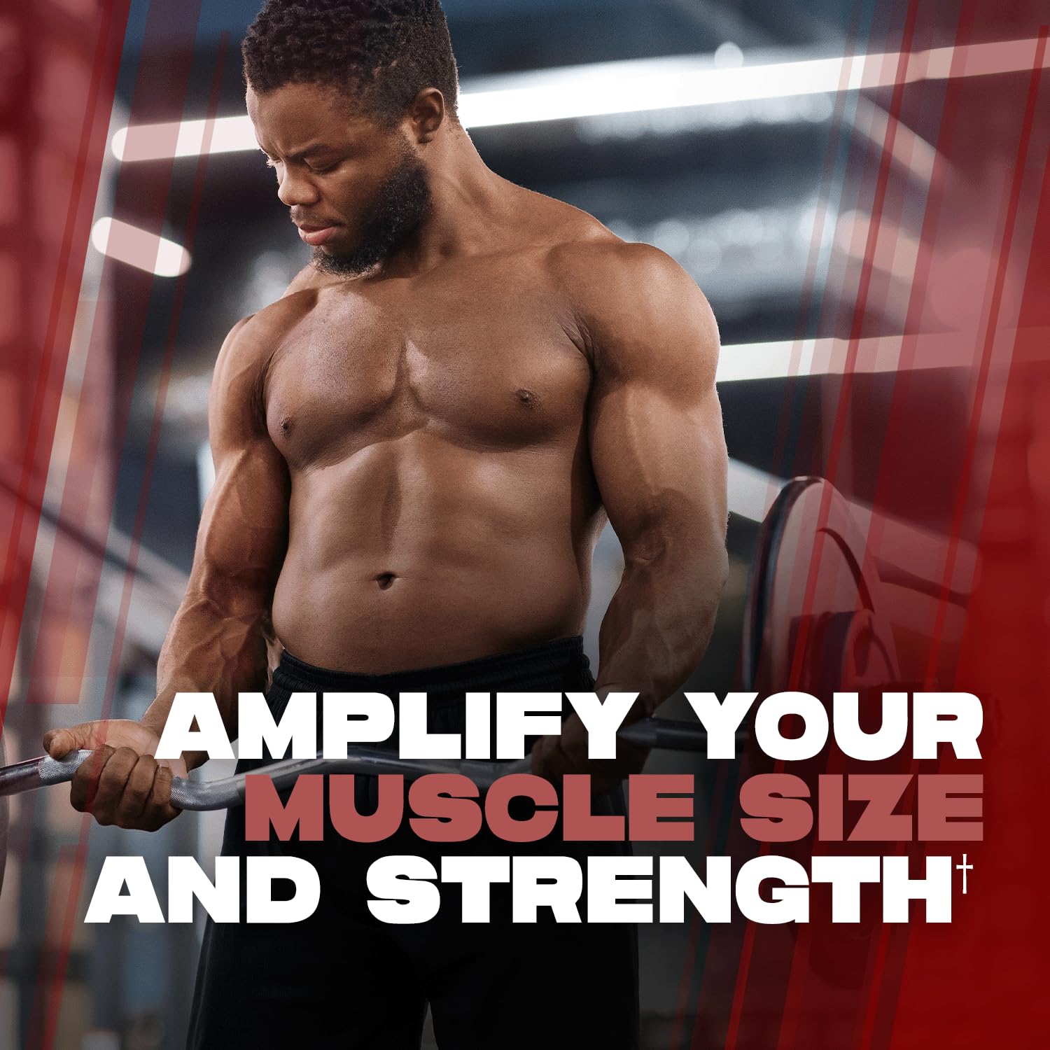 ALPHA LION Creatine Monohydrate Powder, 5000mg Per Serving (5g), Supports Muscle Strength, Power, Athletic Performance, Pure Creatina Monohydrata ALPHA LION buy supplements canada