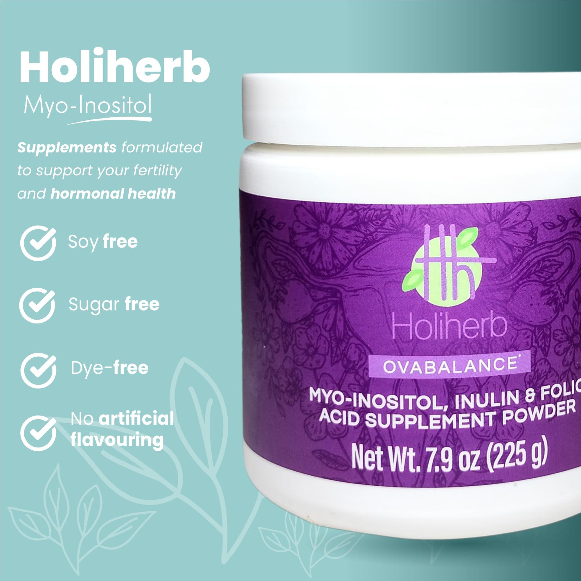 Holiherb 4g Myo Inositol + Folic Acid Holiherb buy supplements canada
