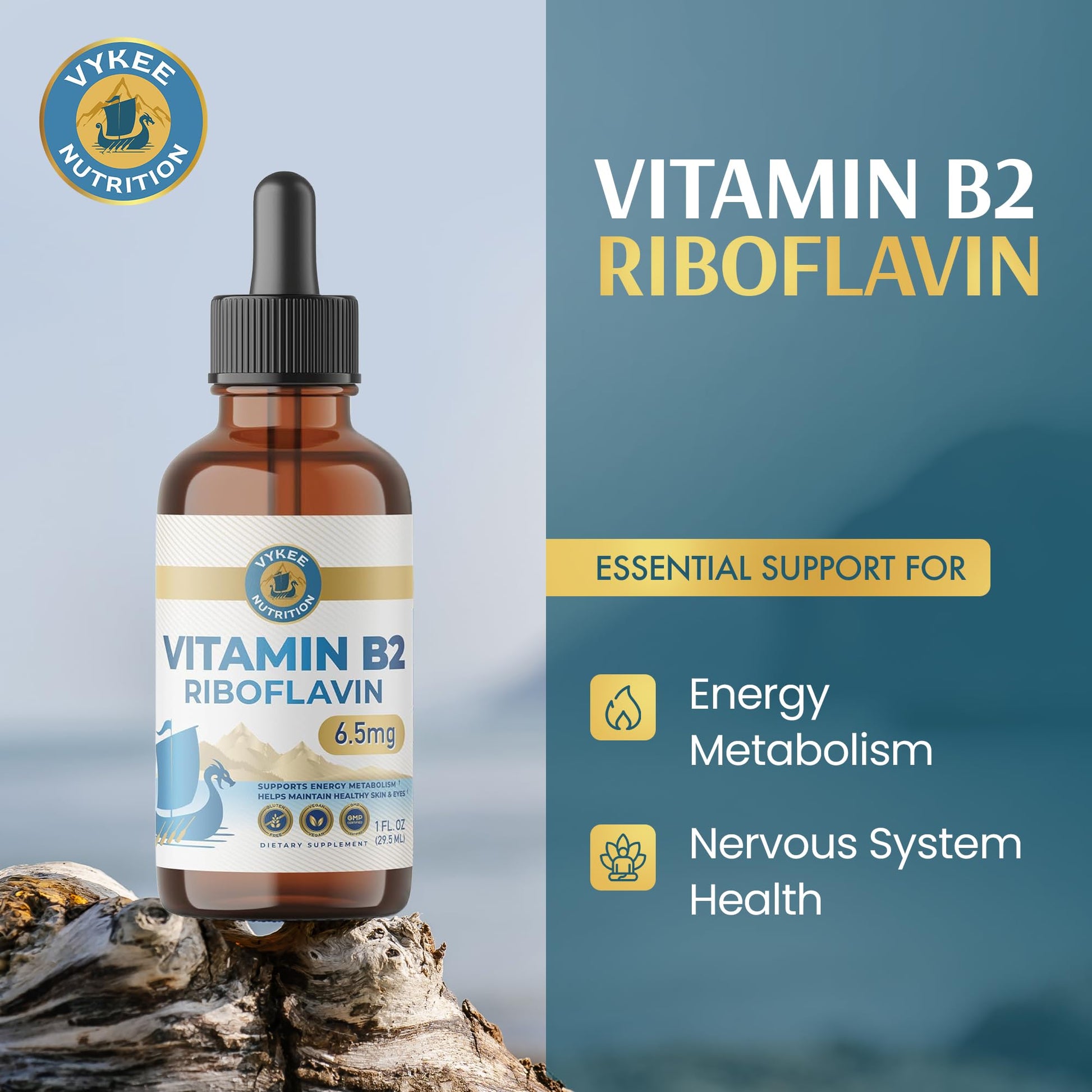 Vykee Nutrition Vitamin B2 Riboflavin Drops - Liquid B2 Supplement for Energy Metabolism, Cellular Function and Vision Support - Vegan, Non-GMO, Gluten-Free Vykee Nutrition buy supplements canada