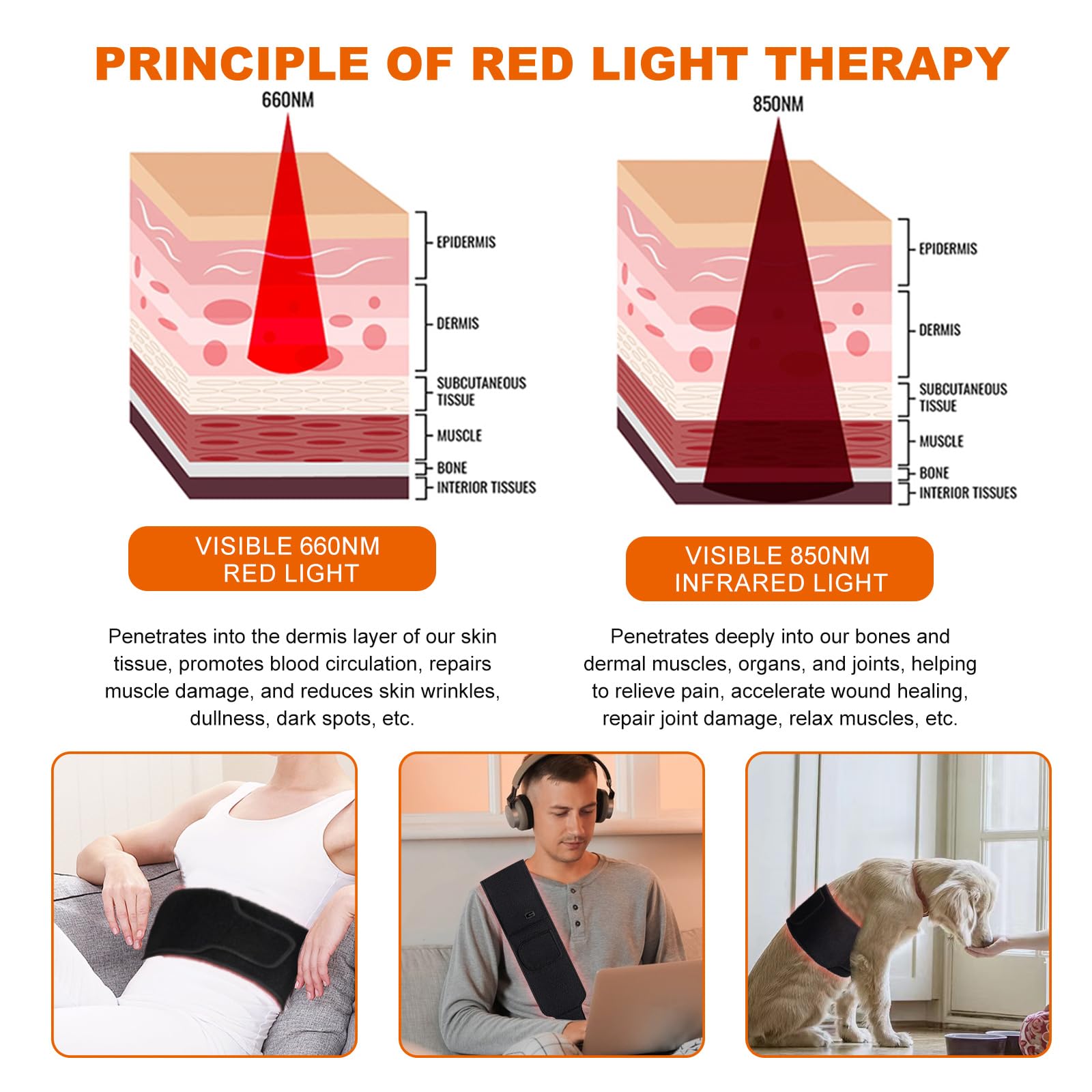 EquiZen Red Light Therapy Belt - Red Light Therapy for Body, Infrared Light Therapy Device EquiZen buy supplements canada
