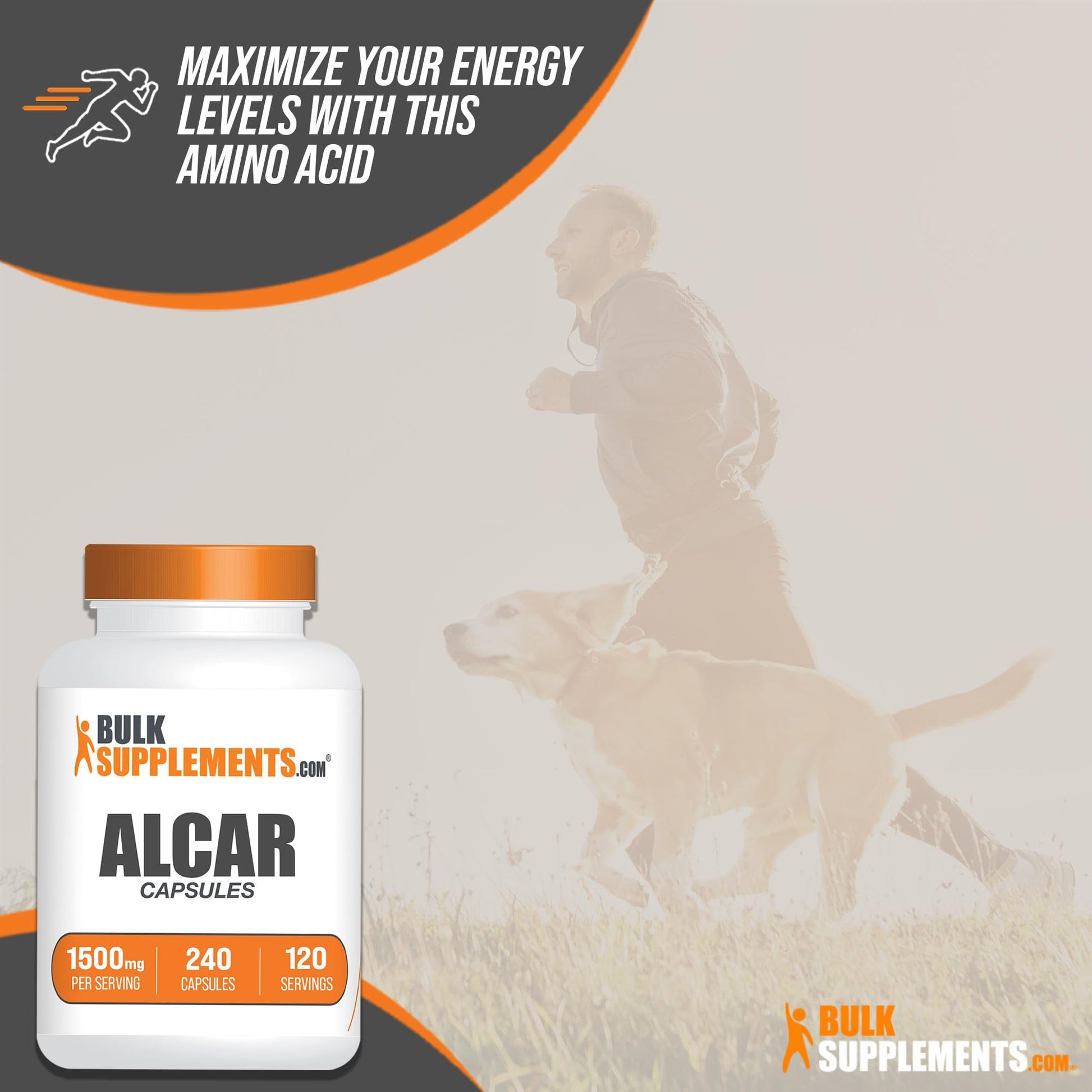 BULKSUPPLEMENTS.COM Acetyl L-Carnitine Capsules - ALCAR HCl, Carnitine Supplement BULKSUPPLEMENTS.COM buy supplements canada